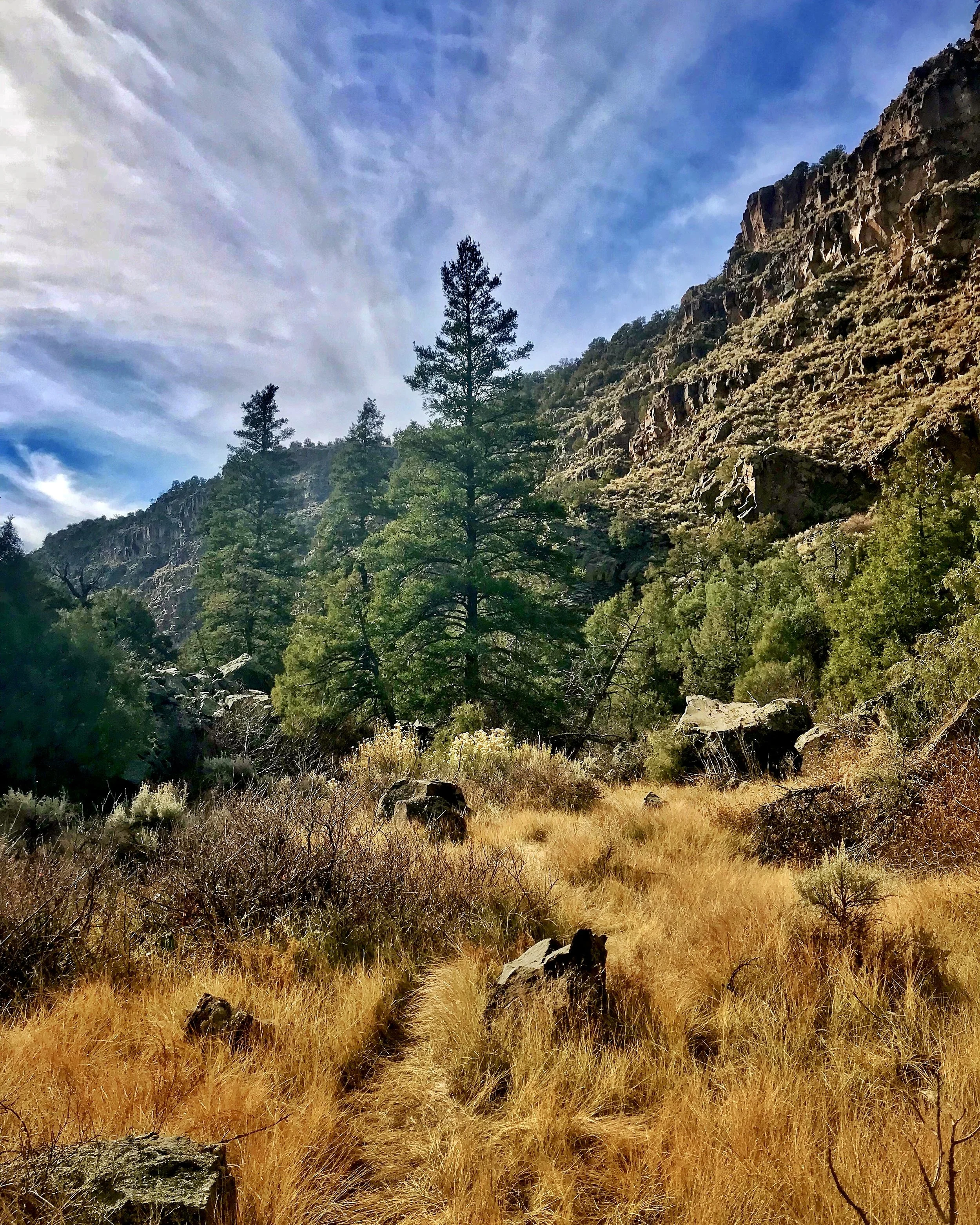 A scenic nature trail with tall golden grasses and rocks, surrounded by green trees and a rocky hillside under a cloudy blue sky.