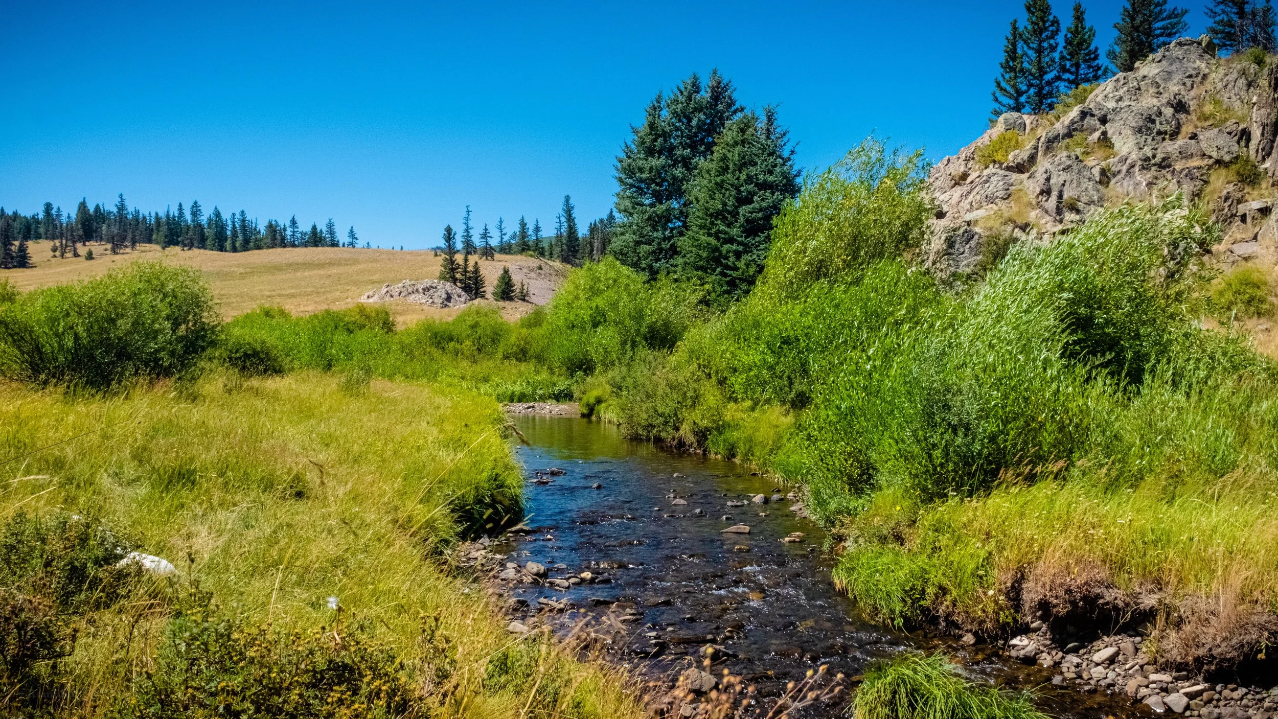 A serene stream flowing through a green grassy landscape with trees and rocky hills under a clear blue sky.