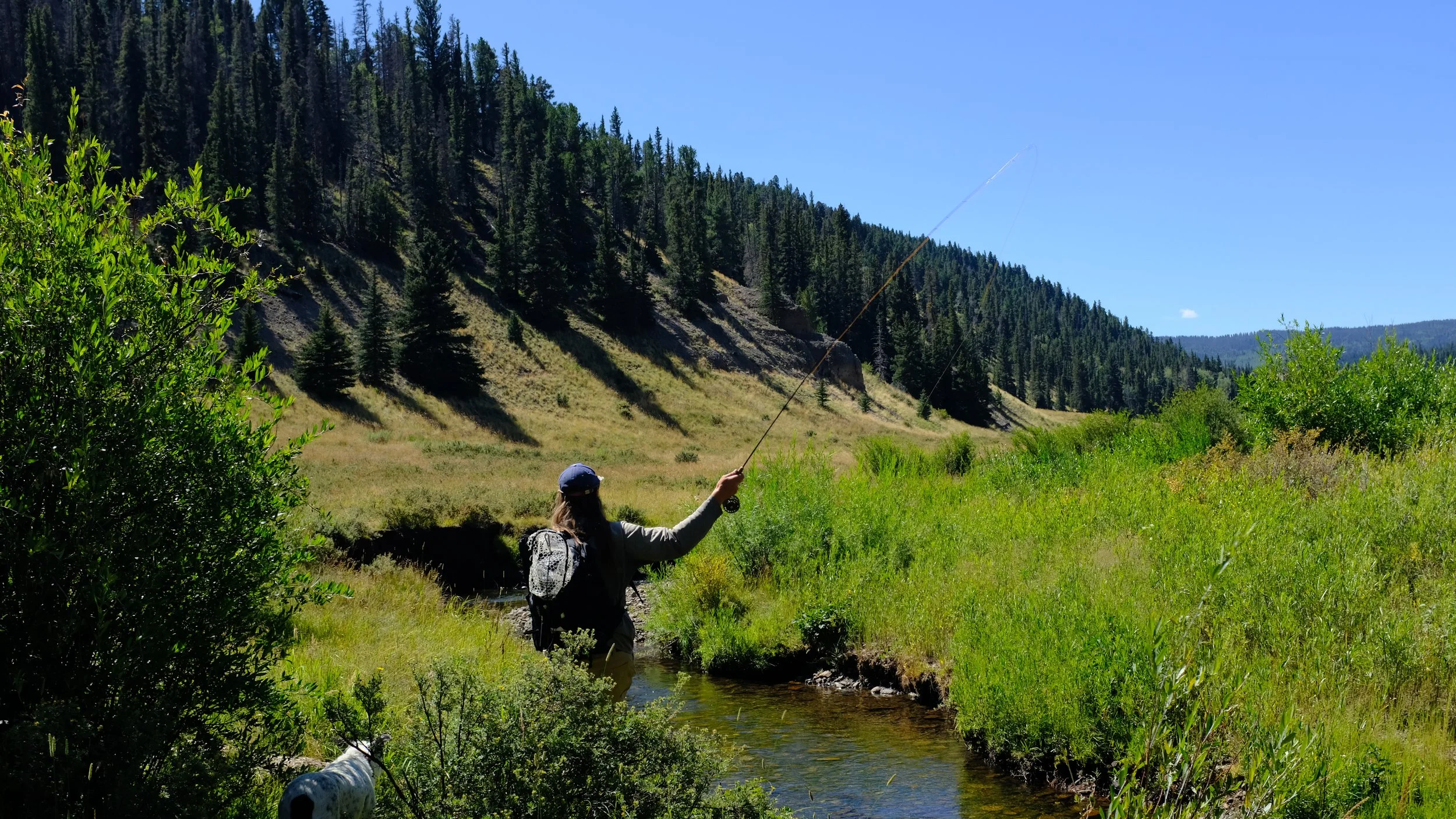 Person fly fishing in a green, narrow river valley surrounded by forested hills with a clear blue sky.