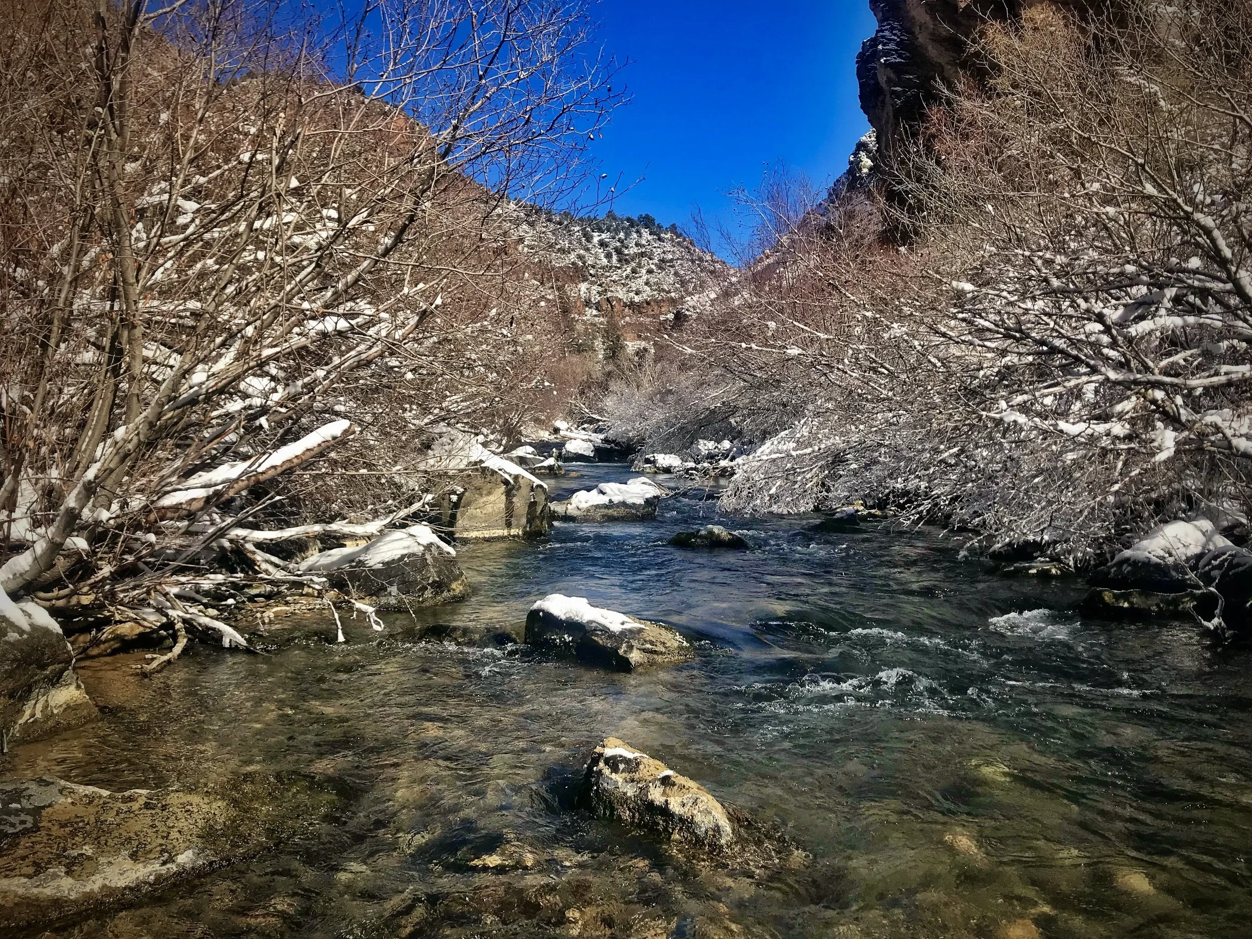 A mountain river flowing through a snow-covered landscape with leafless trees on both sides and cliffs in the background under a clear blue sky.