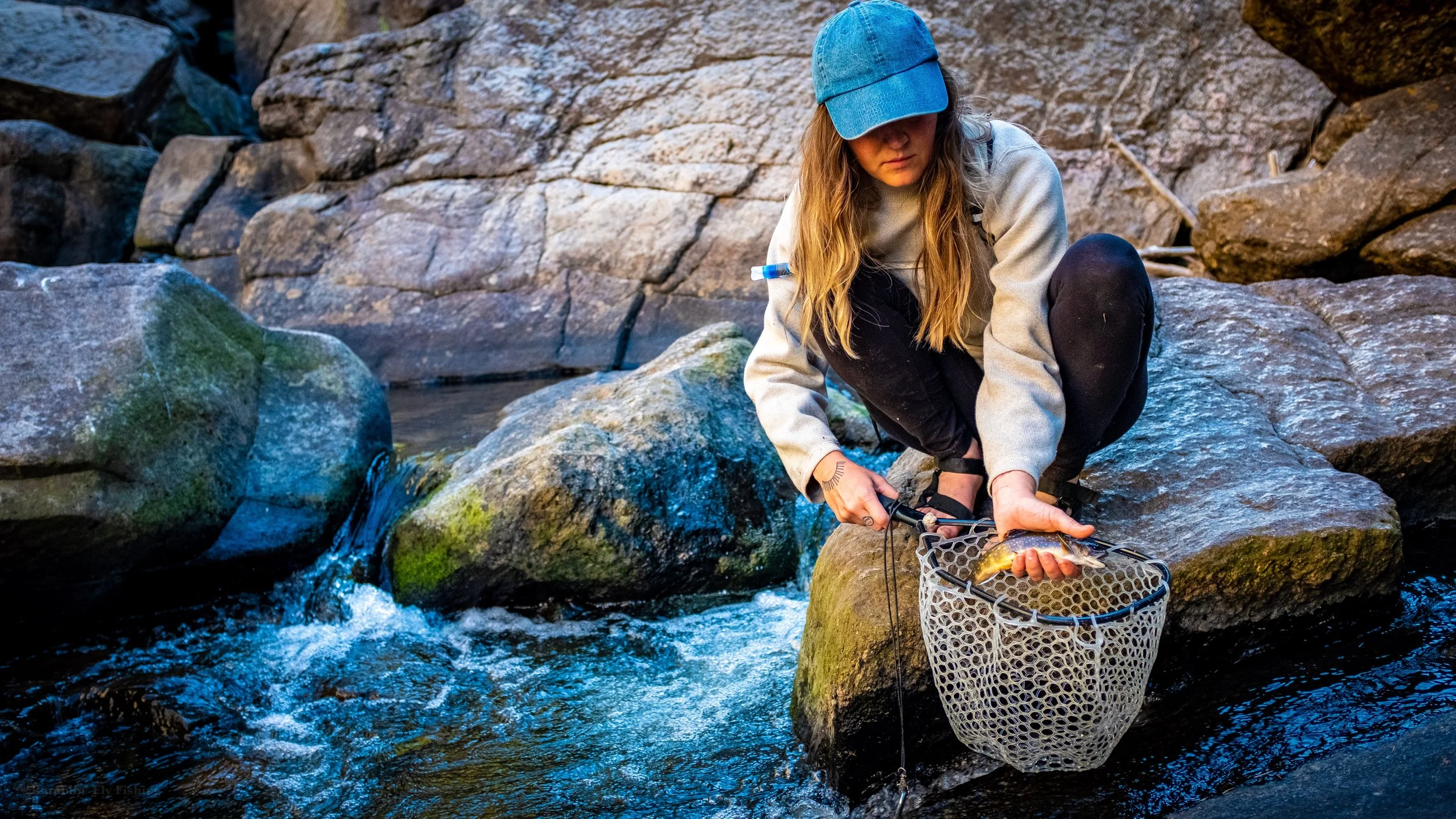 A woman with long blonde hair wearing a blue cap, gray jacket, and black pants, crouching on a large rock in a stream, holding a fishing net with a small fish inside.