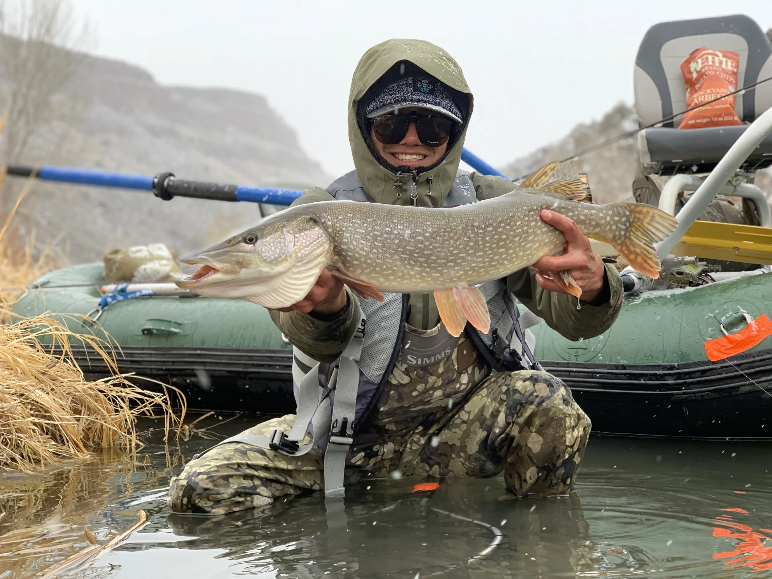 Person in water holding a large fish with a boat and camping gear in the background.