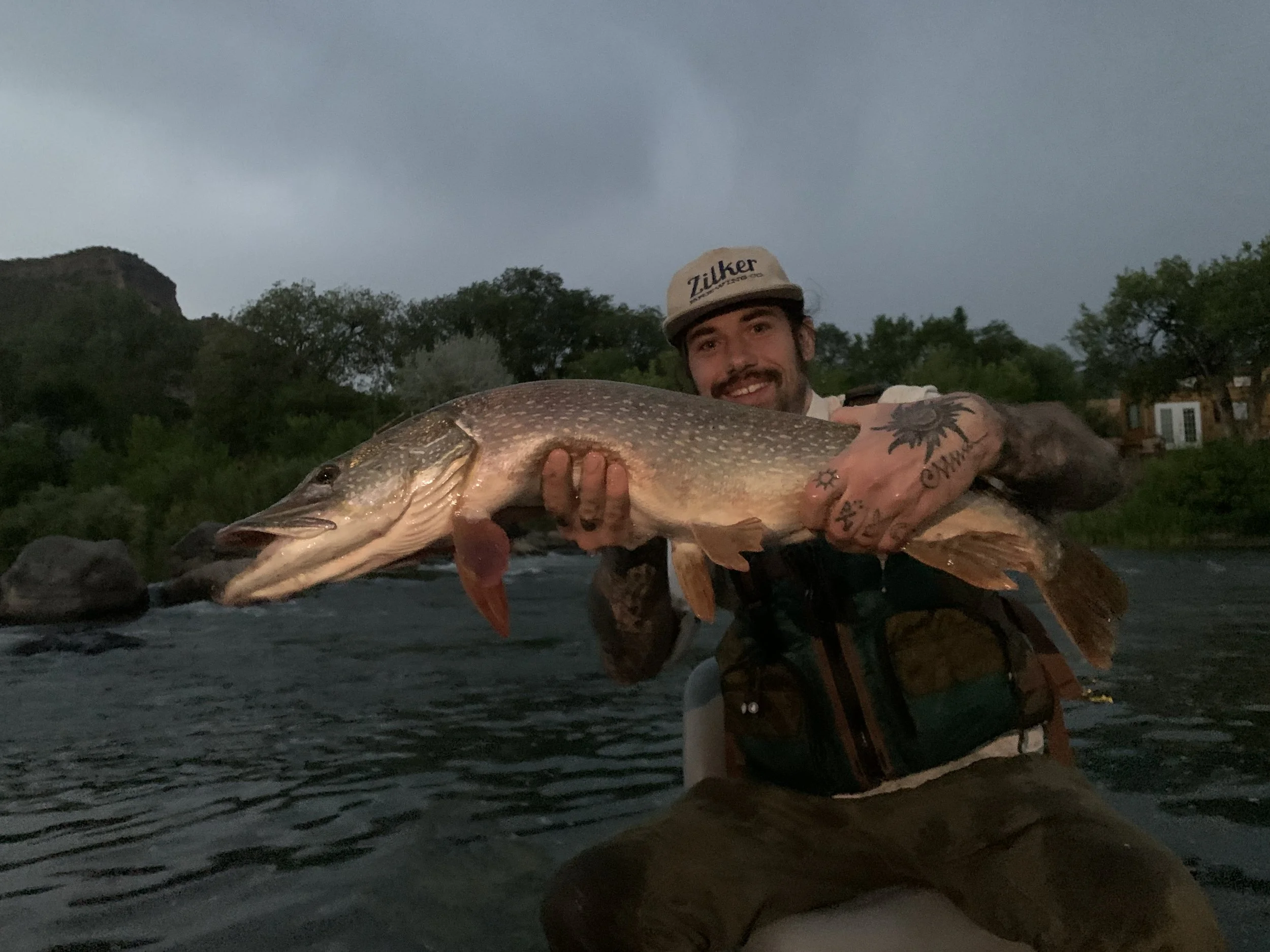 Man holding a large fish while sitting in a river during overcast weather, with trees and hills in the background.