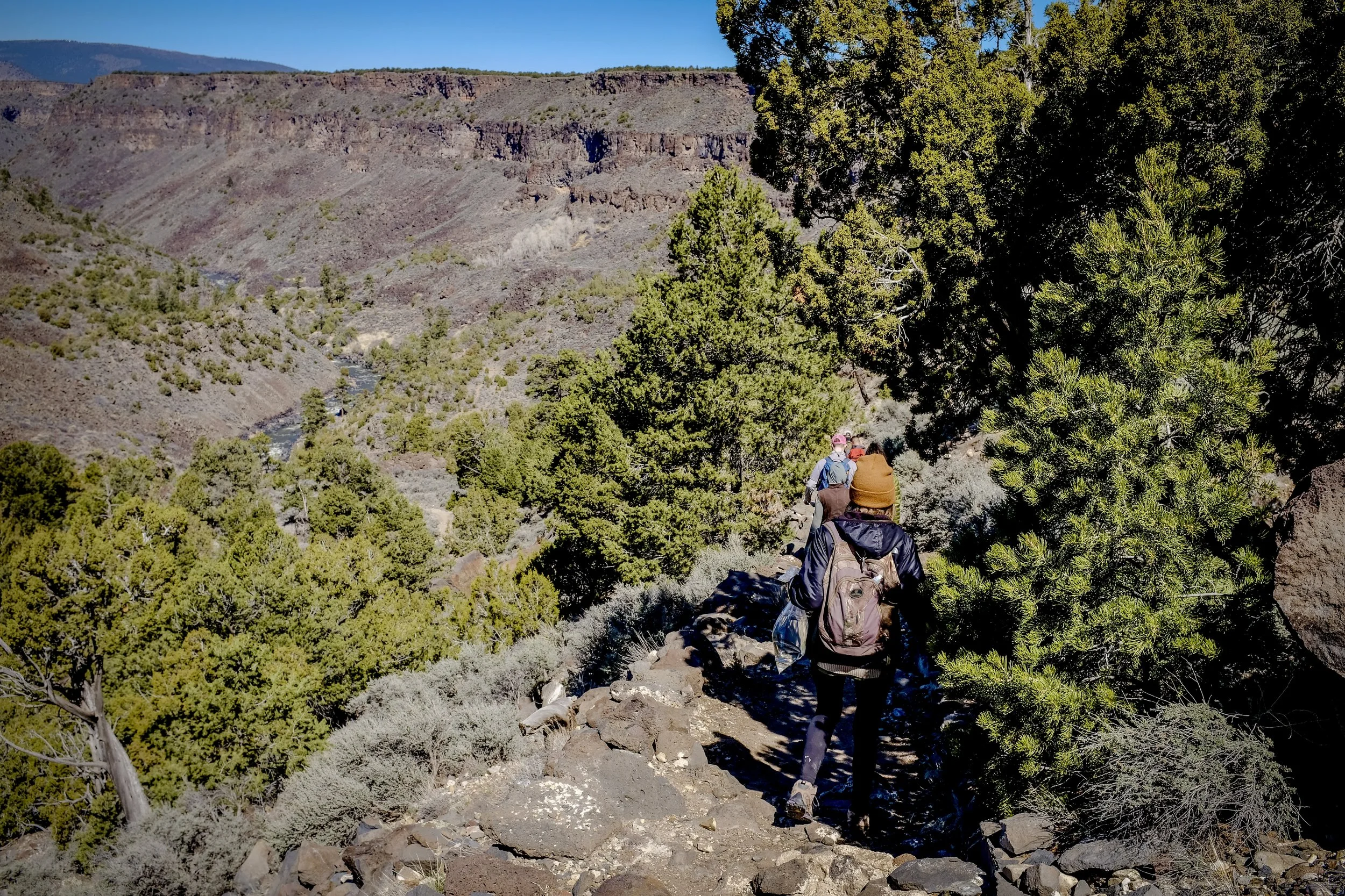 Hikers walking along a rocky trail surrounded by green trees in a mountainous canyon landscape.