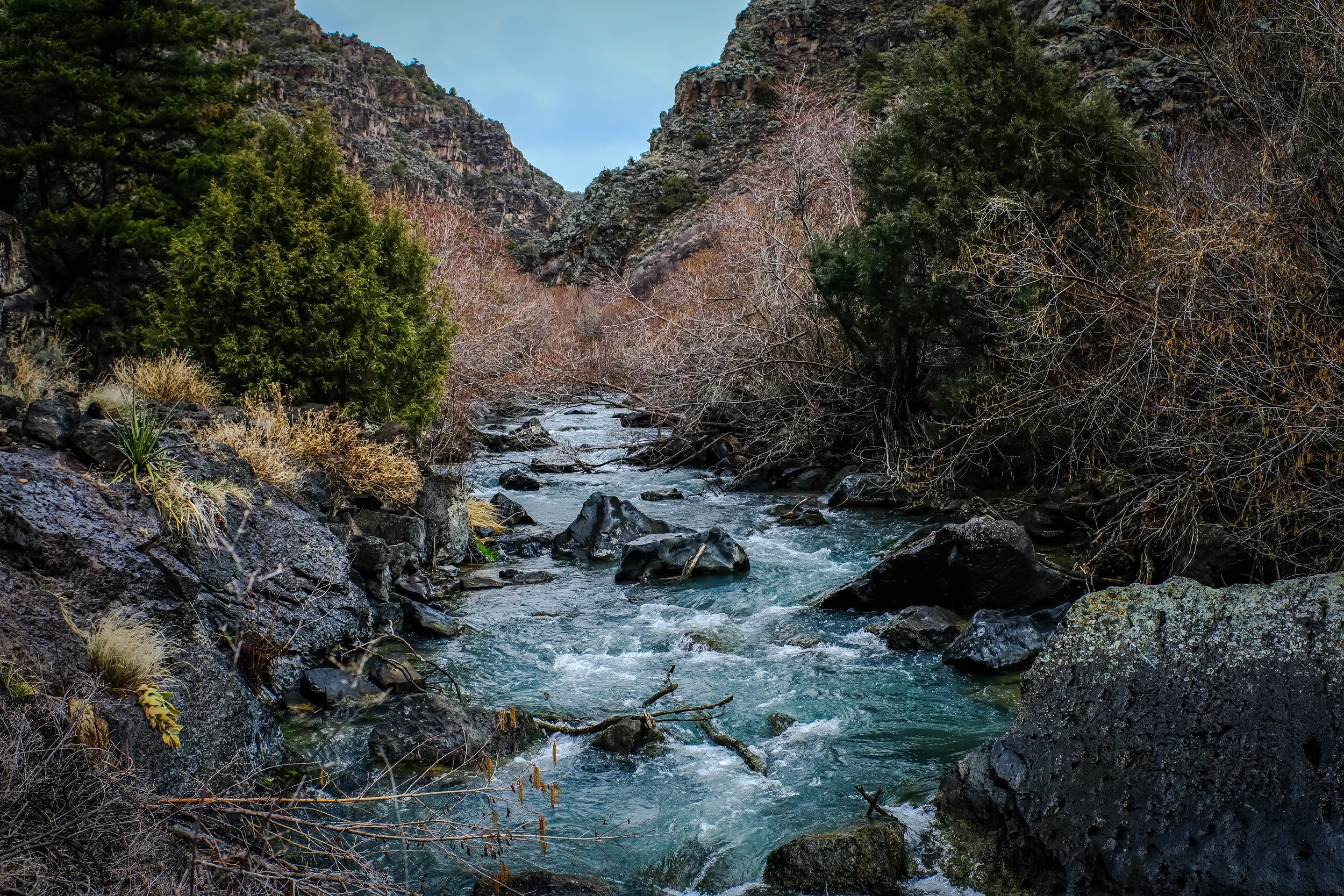 A mountainous landscape with a flowing creek, surrounded by trees, rocks, and sparse winter vegetation.