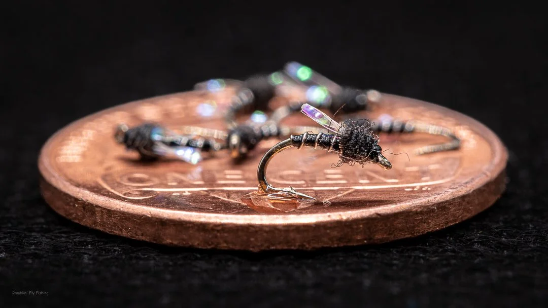 Close-up of a tiny fishing fly resting on a penny, with other similar flies blurred in the background.
