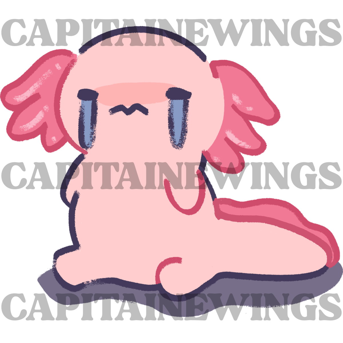 5.png