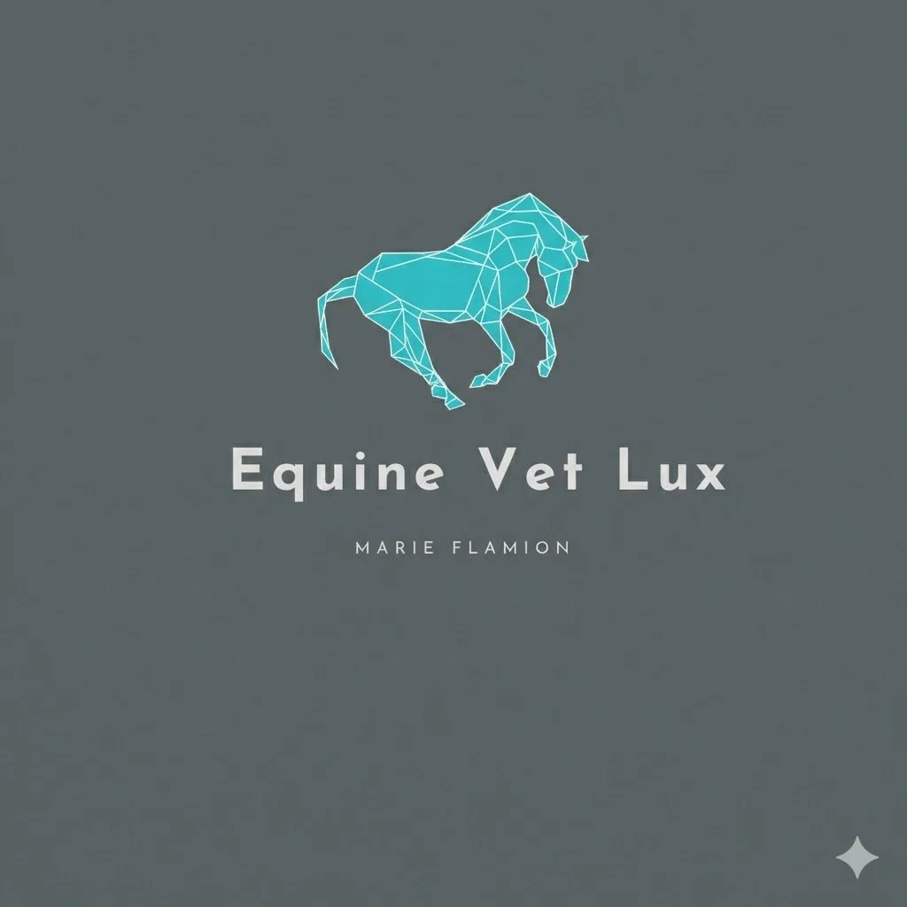 Couverture d'un livre intitulé 'Equine Vet Lux' par Marie Flamion, avec un logo d'un cheval stylisé en lignes bleues sur fond gris.