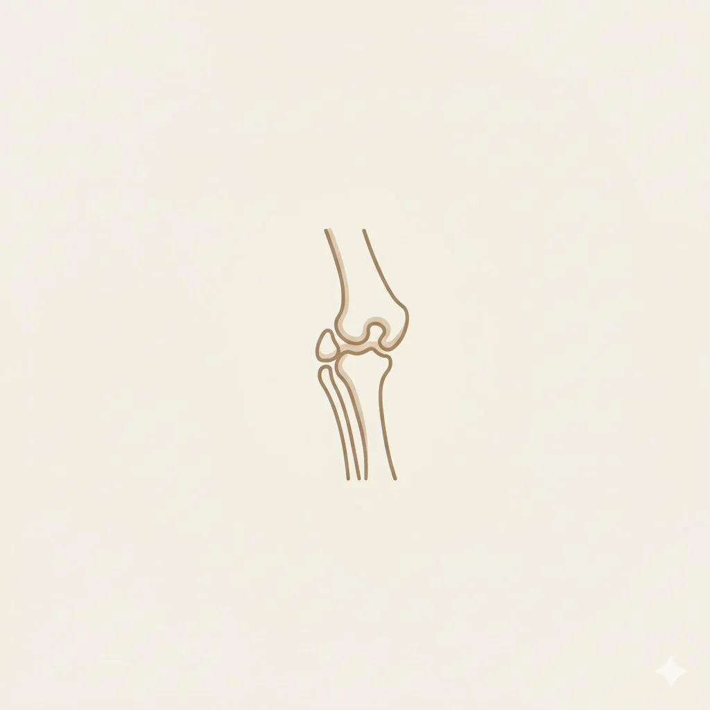 Orthopédie & Imagerie