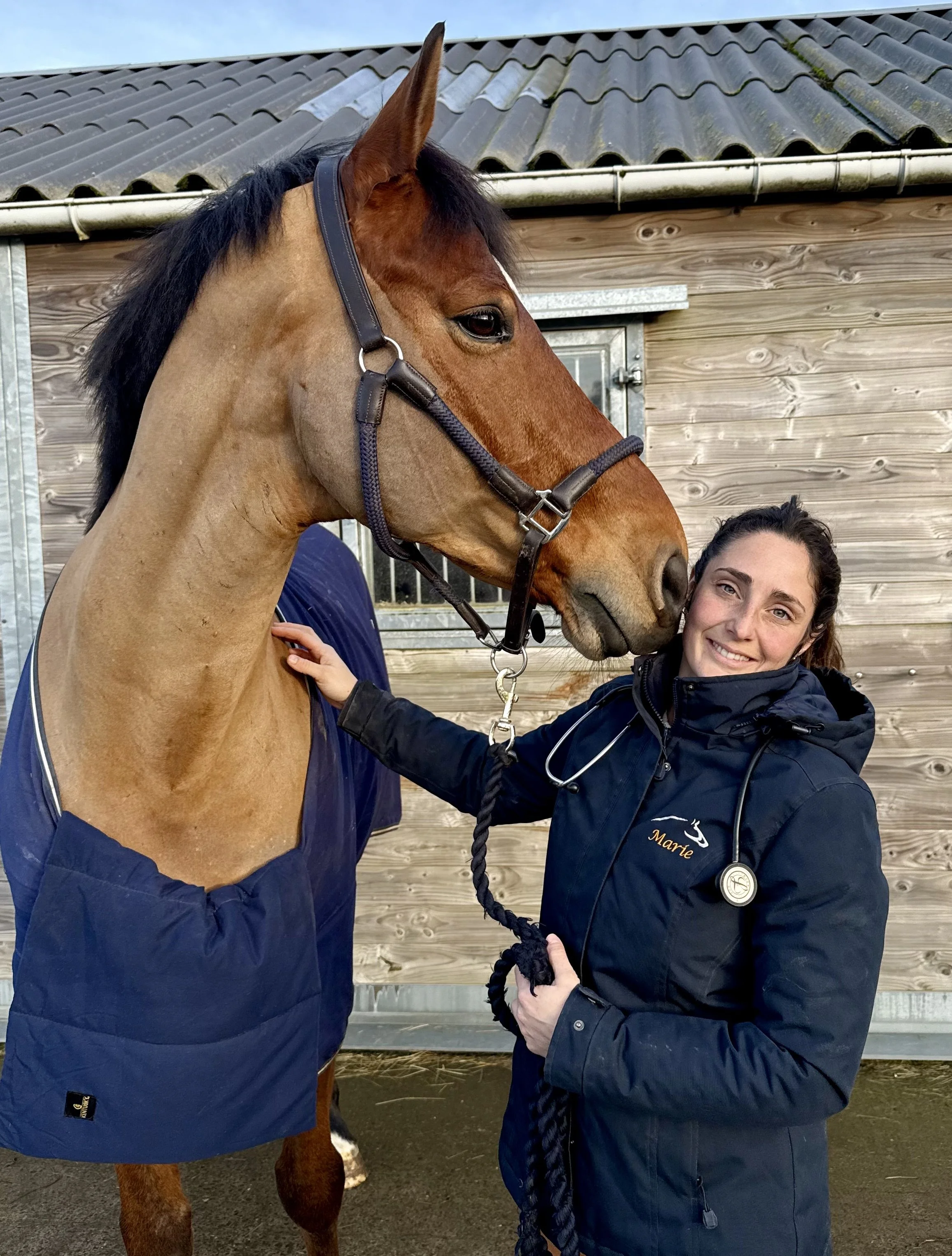 Une femme souriante avec une veste noire et un stéthoscope autour du cou tient la corde du cheval marron clair avec une crinière noire. Le cheval porte une couverture bleue et un harnais en cuir. En arrière-plan, un mur en bois et un toit en tuiles.