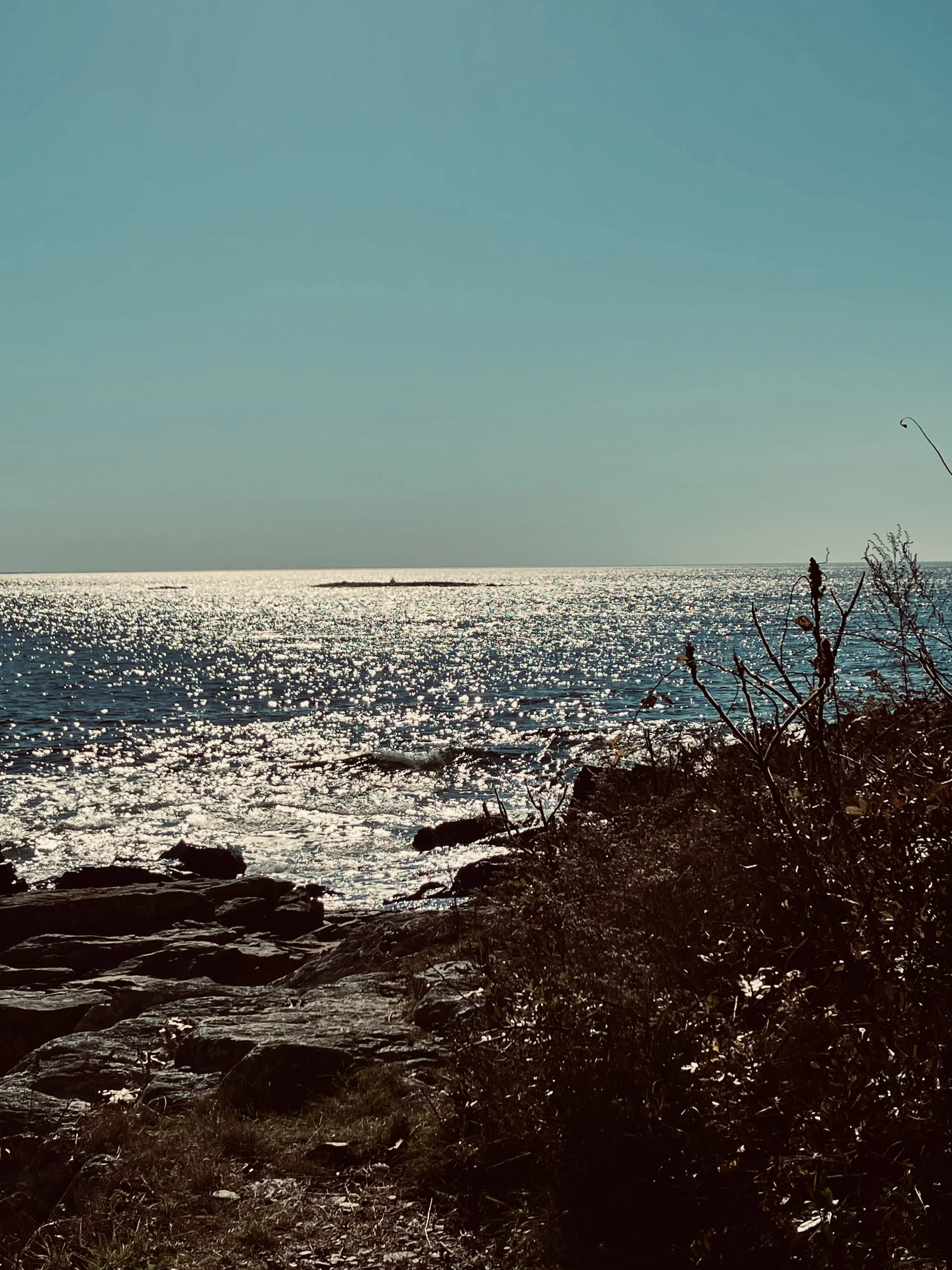 Fiction, Nonfiction, Memoir, and Short Story Manuscript Consultation