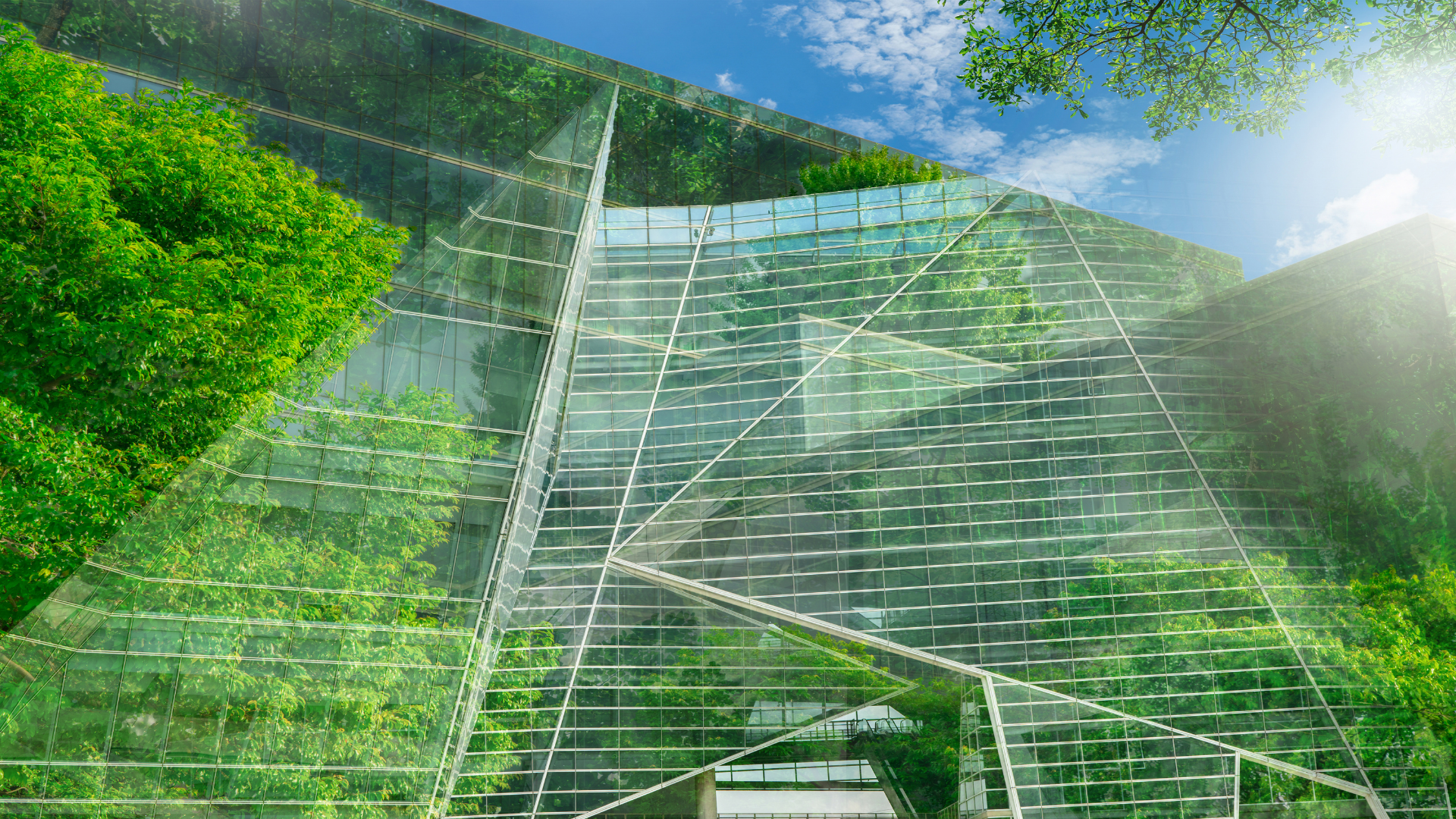 The business case for urgency. What leaders get wrong about net zero.
