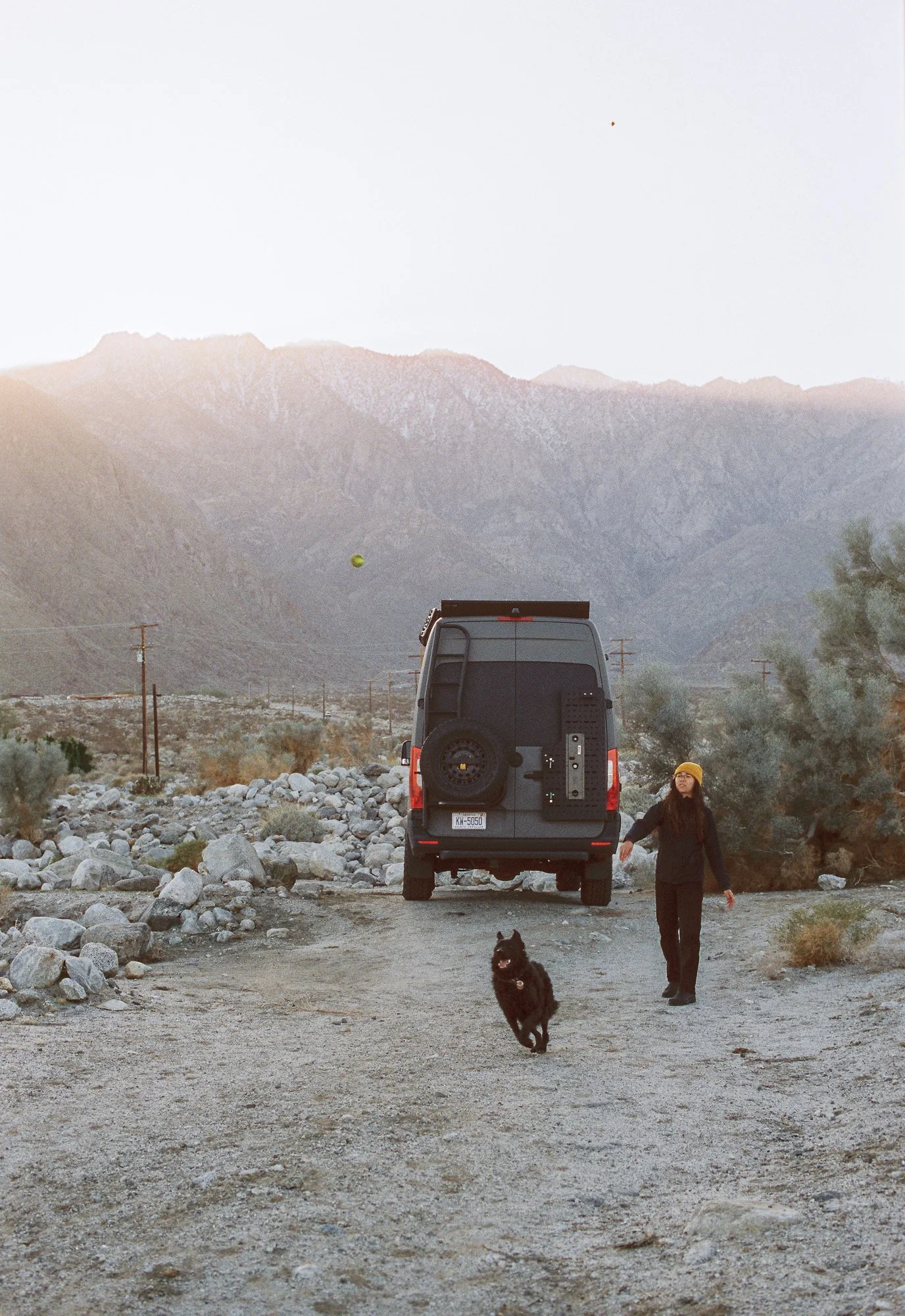 film photographer throwing ball for dog playing fetch in palm springs california