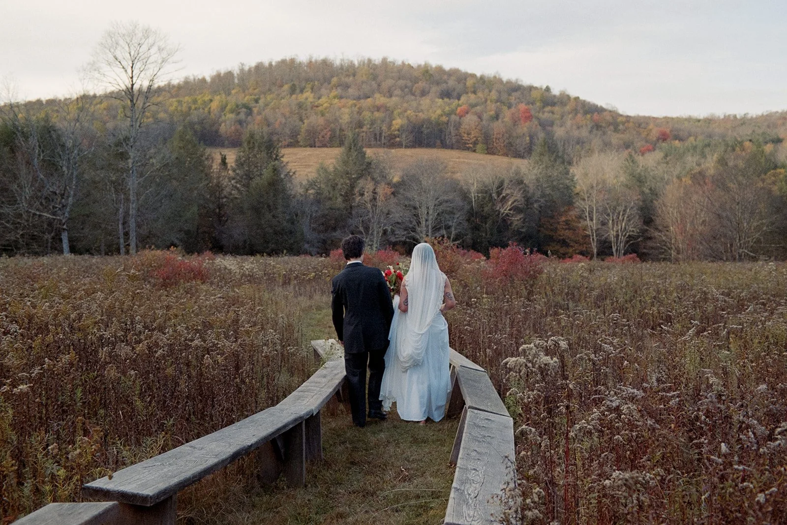 handsome hollow mountain view at sunset in late fall