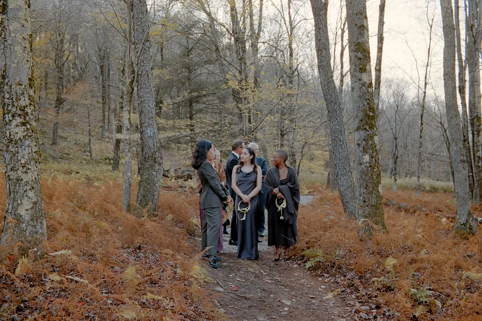wedding party waiting in the fern forest at handsome hollow