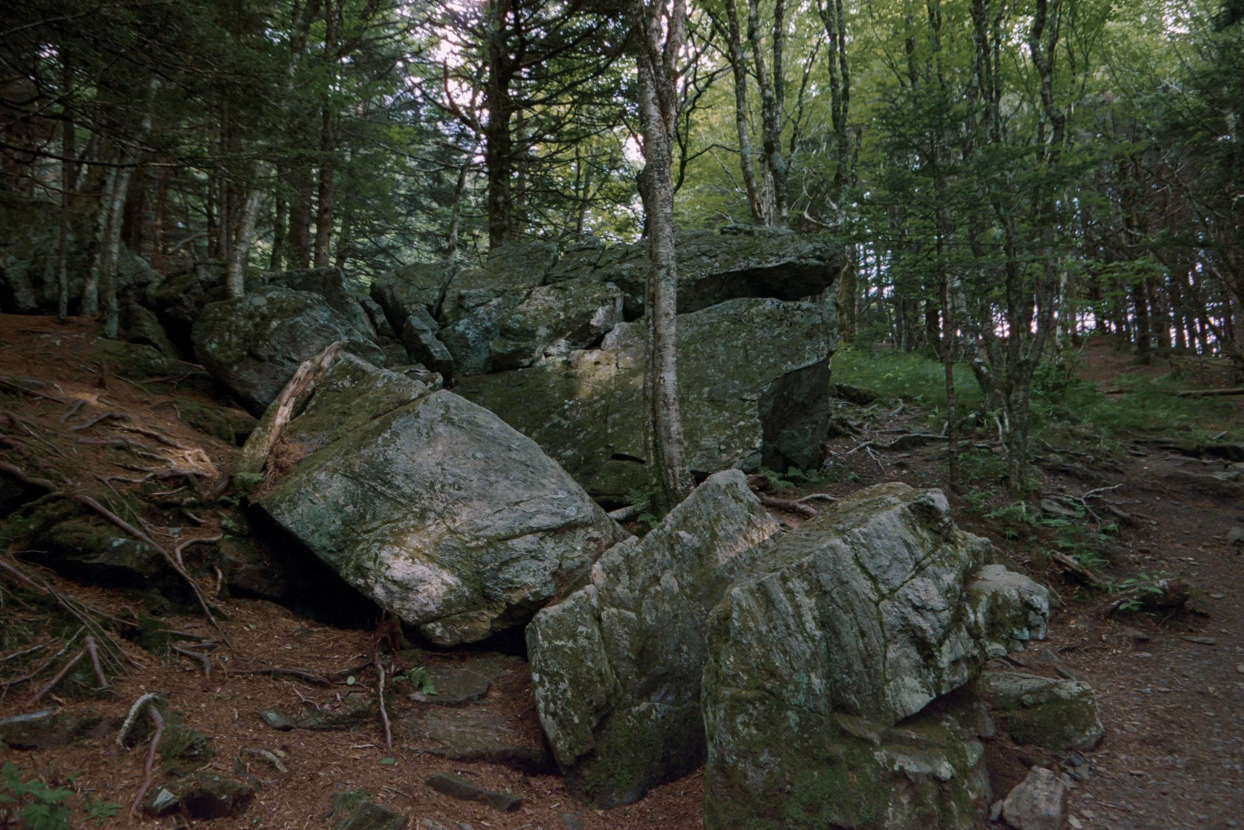 DevinFritz_June12_SuperloveFilm-417.jpg