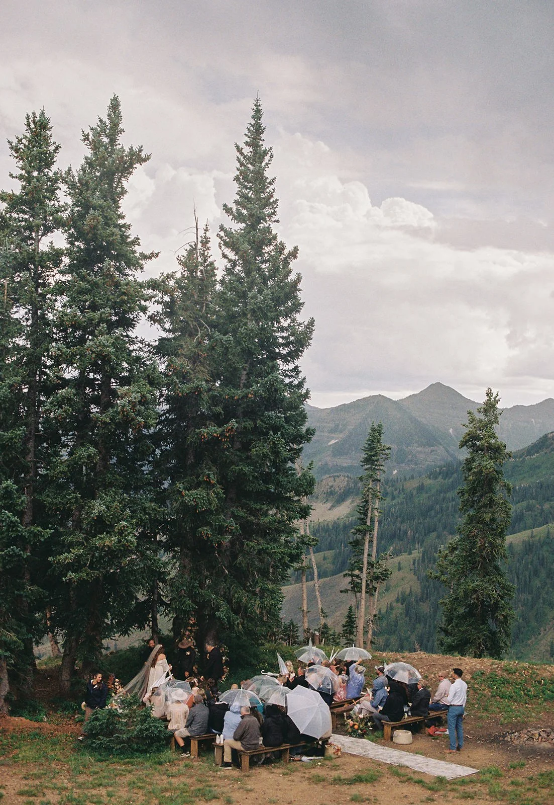 wedding ceremony with pine trees in colorado