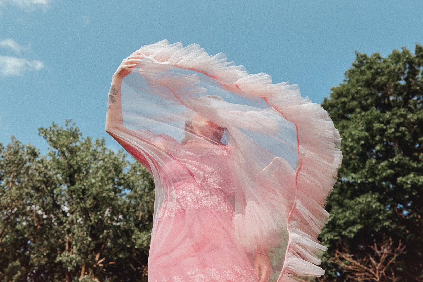 an alternative wedding dress in pink with a veil blowing in the wind in the blue ridge mountains