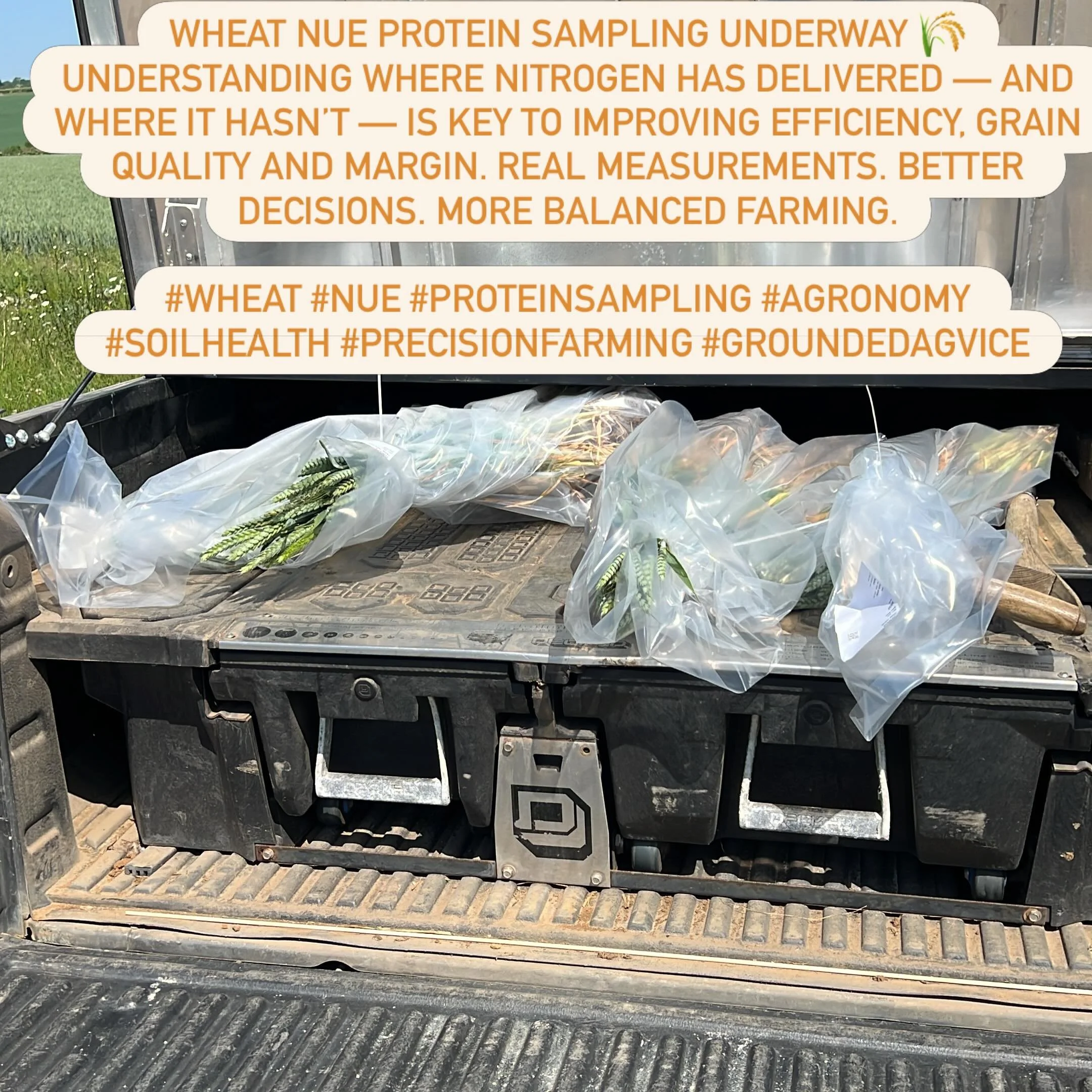 @aganalyst samples taken for our NUE trails.
