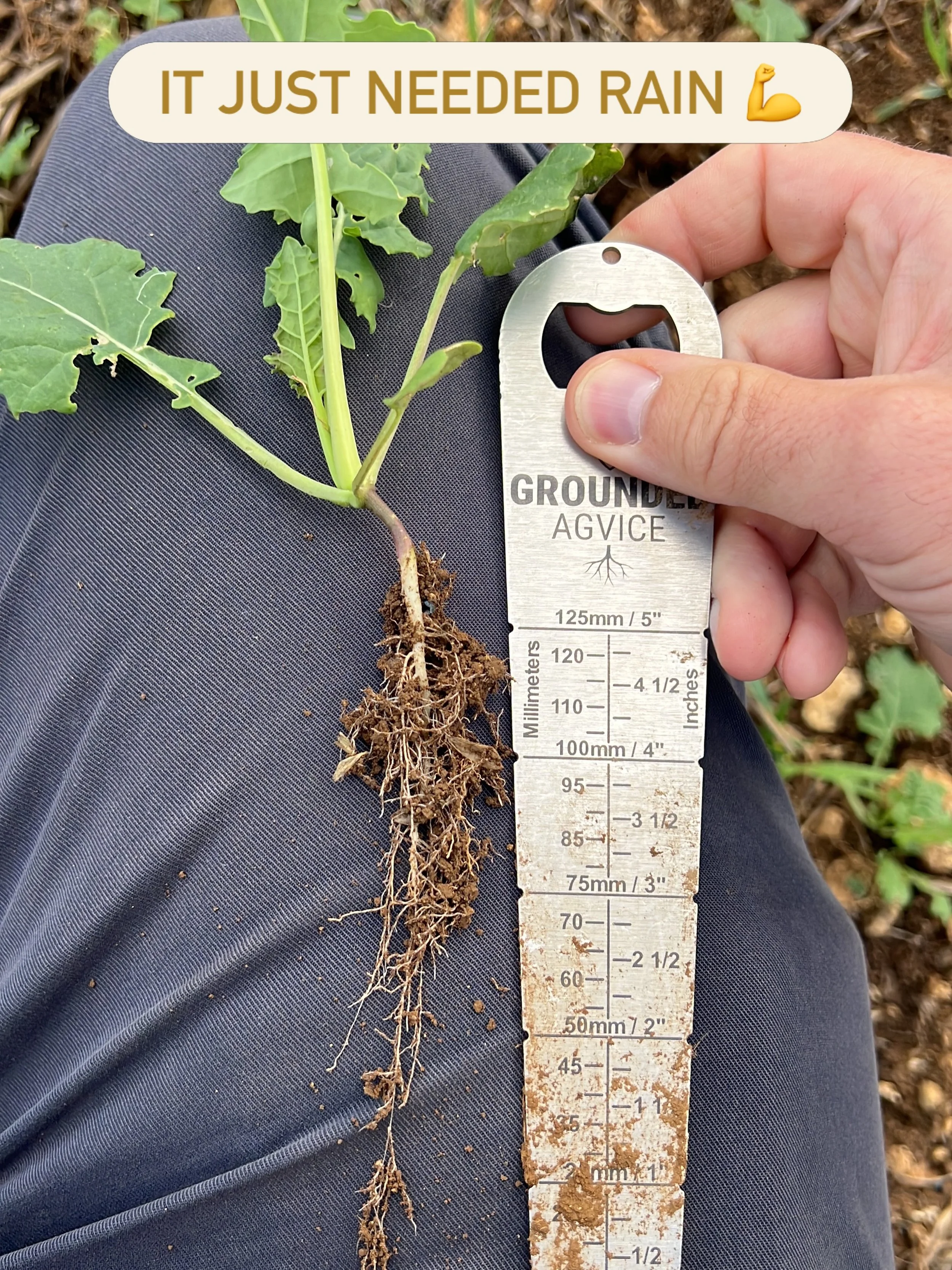#independentagronomy