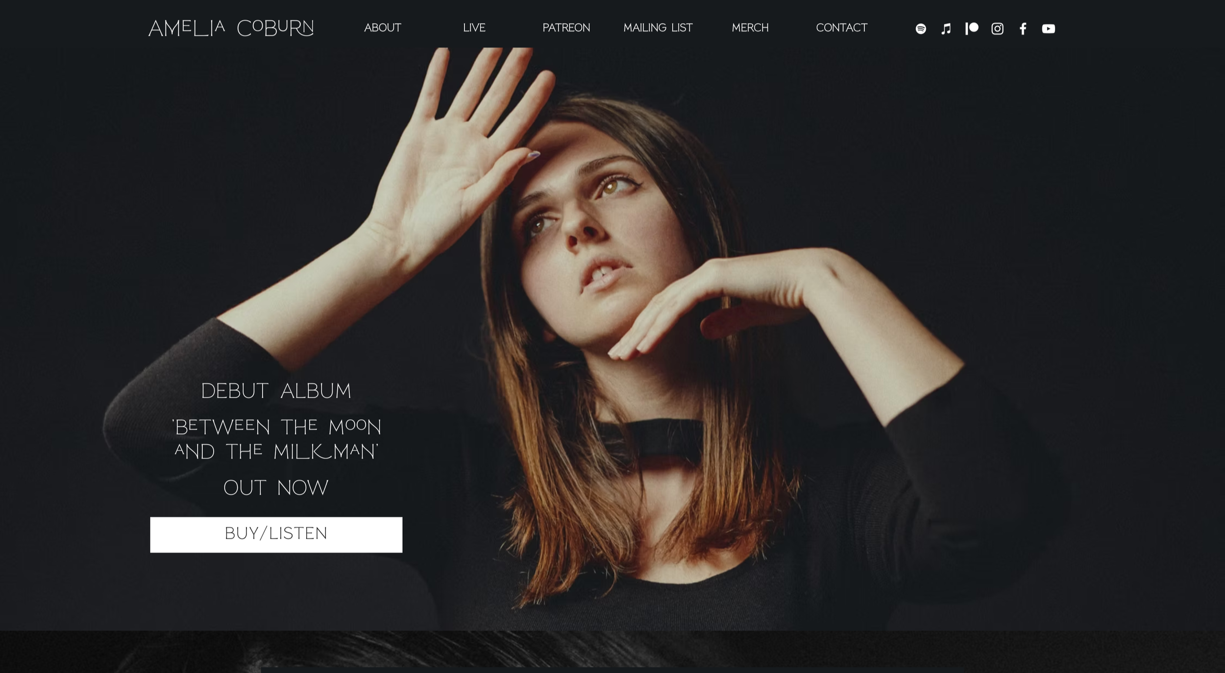 Website Design - Amelia Coburn (photography Mike Sreenan)