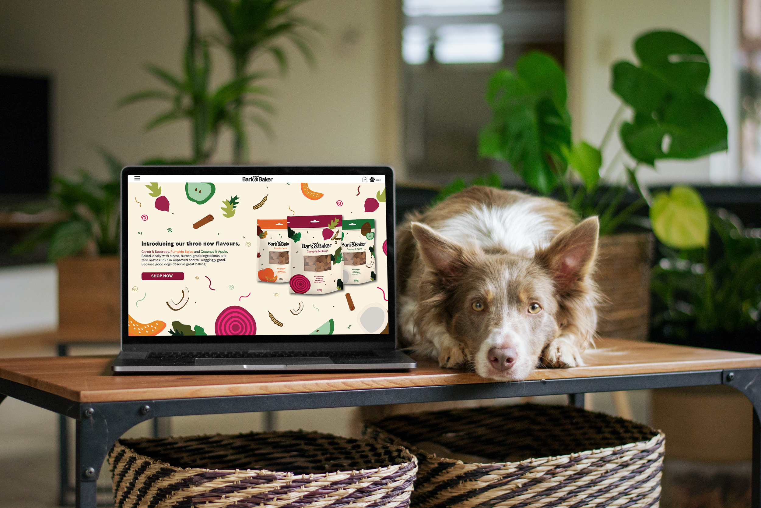 MacBook with Dog Mockup.png