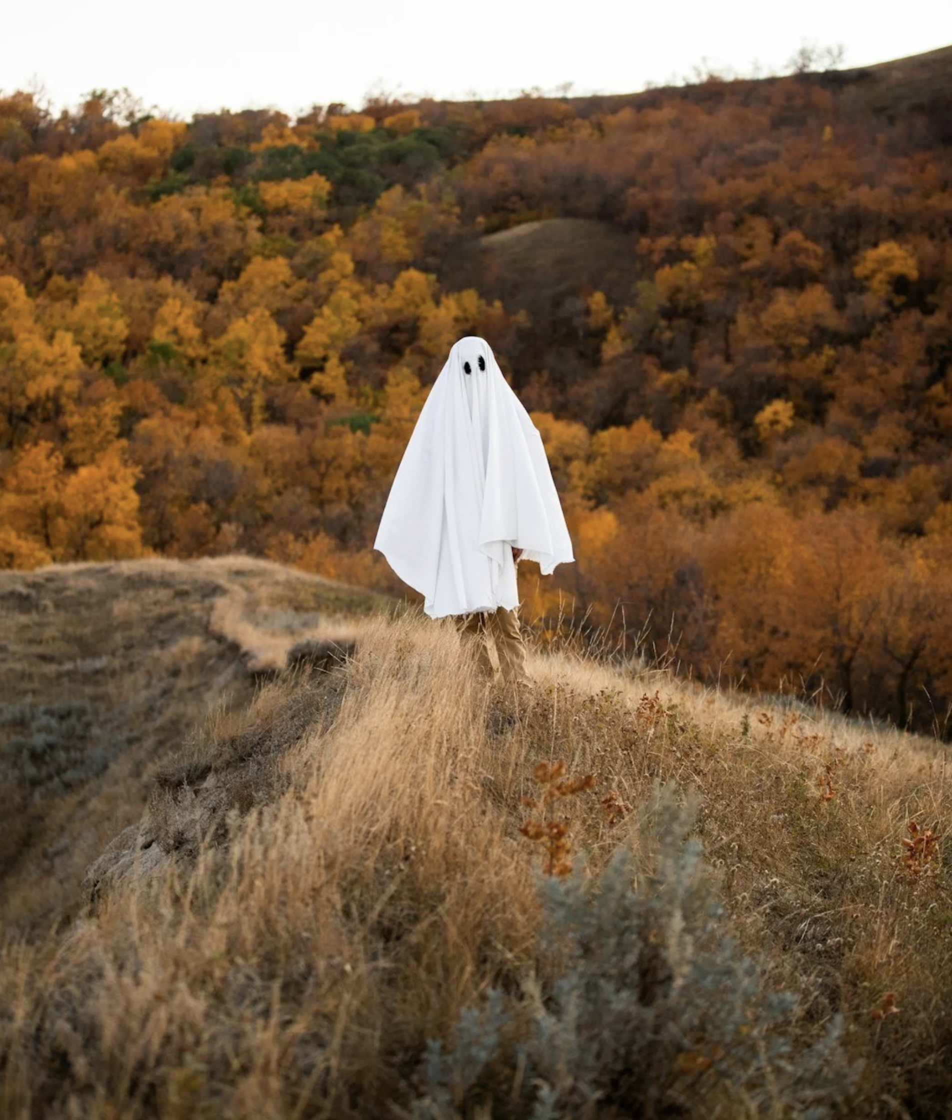 Energetisk afklaring af bolig