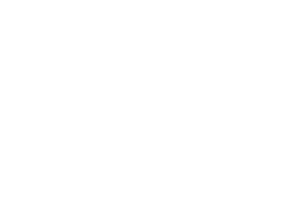 Custom Woodworking Saw