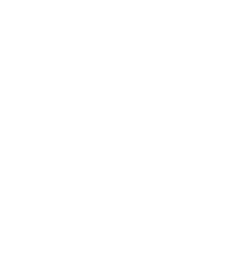 Icona stilizzata di una bandiera su un'asta