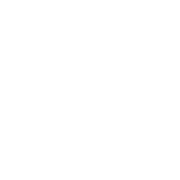 Ritratto di un orologio da tasca con motivi decorativi