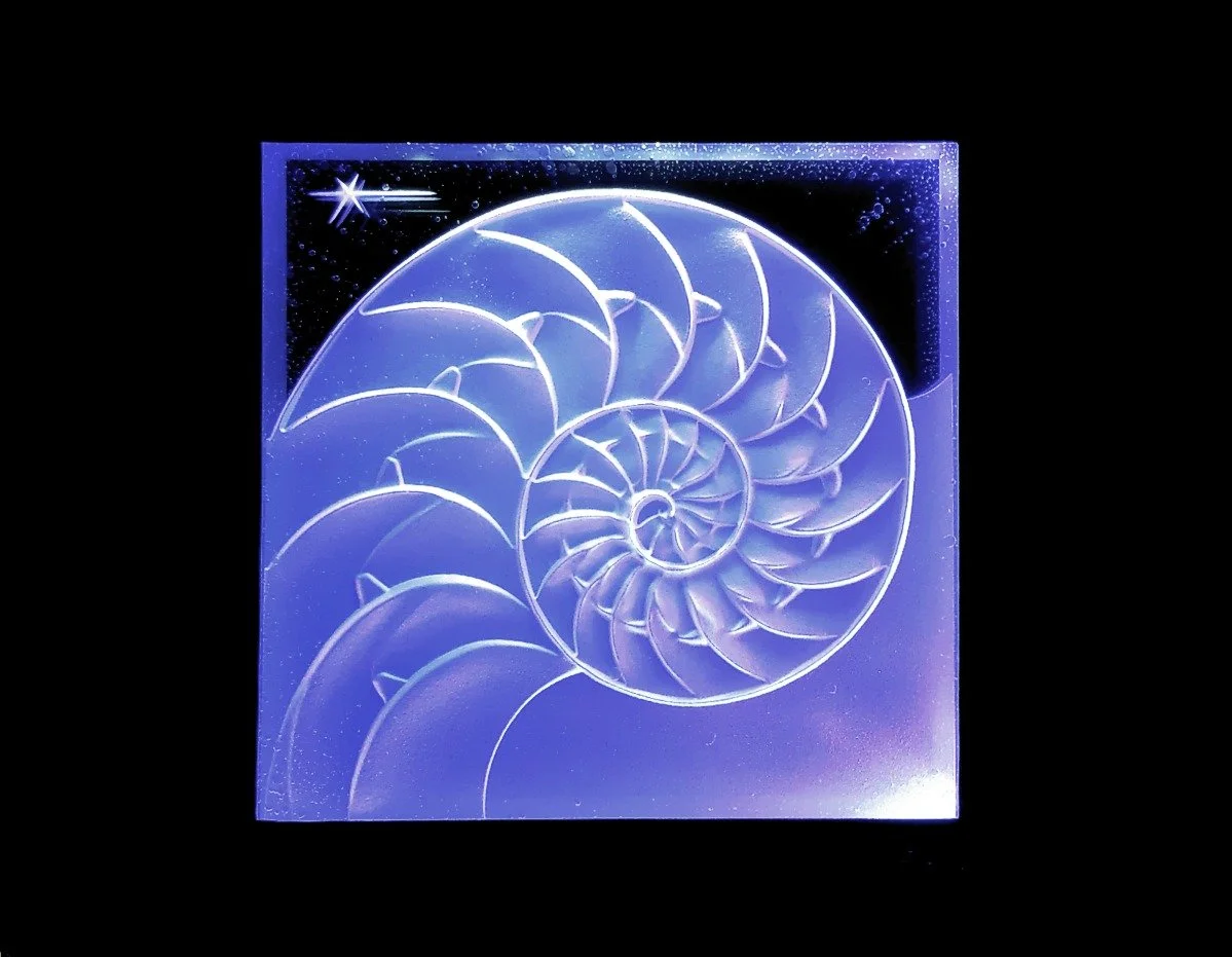 Illuminated glass sculpture of a spiral seashell design against a black background.