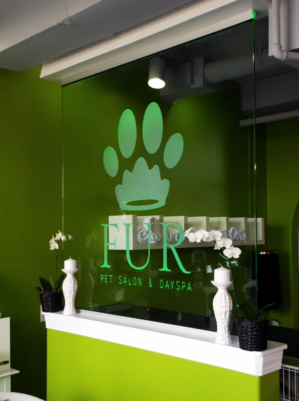 Interior view of a pet salon and day spa with a green wall and a large glass panel displaying a paw print logo and the word "FUR" in large letters, along with smaller text reading "Pet Salon & Day Spa." The counter in front has two white vases with white orchids and black baskets.