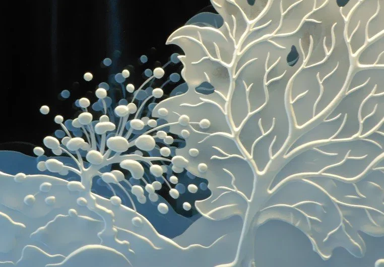 Decorative white coral and bubble-like elements on a dark background, resembling an underwater scene.