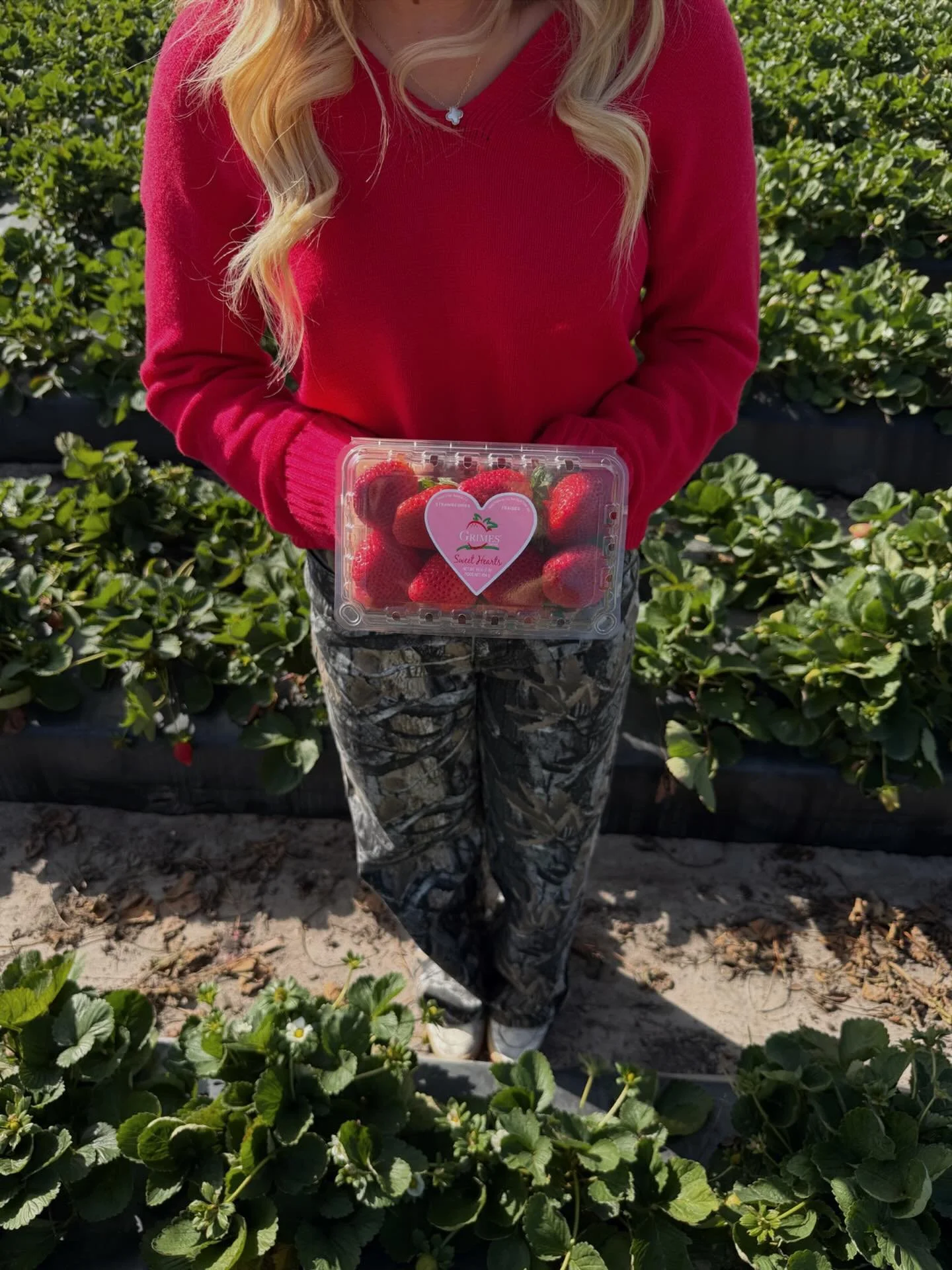 just a girl &amp; her valentine berries 🌸🍓