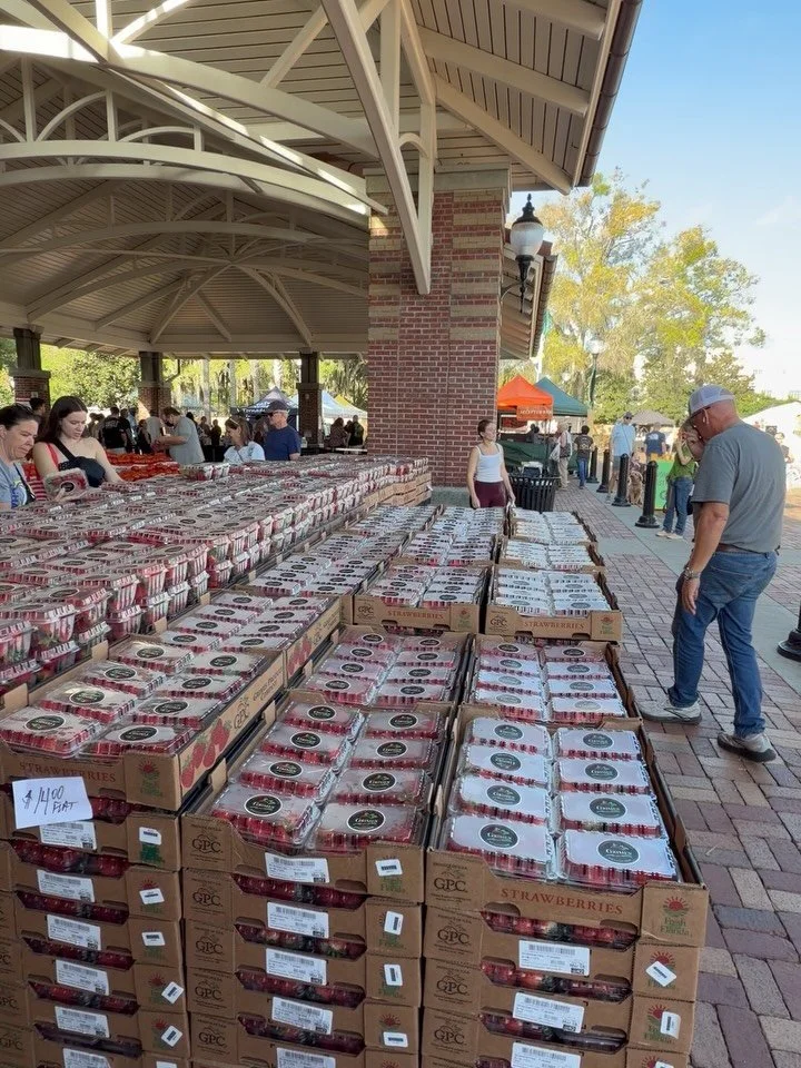 Don&rsquo;t miss out on getting Grimes Produce strawberries tomorrow from the Winter Garden farmers market while we are still in season! Make sure you go see @veggiemanb :)