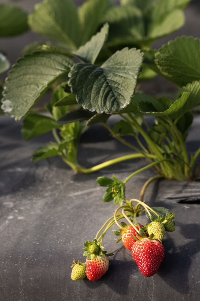 Screenshot 2025-12-19 at 2.56.13 PM.png