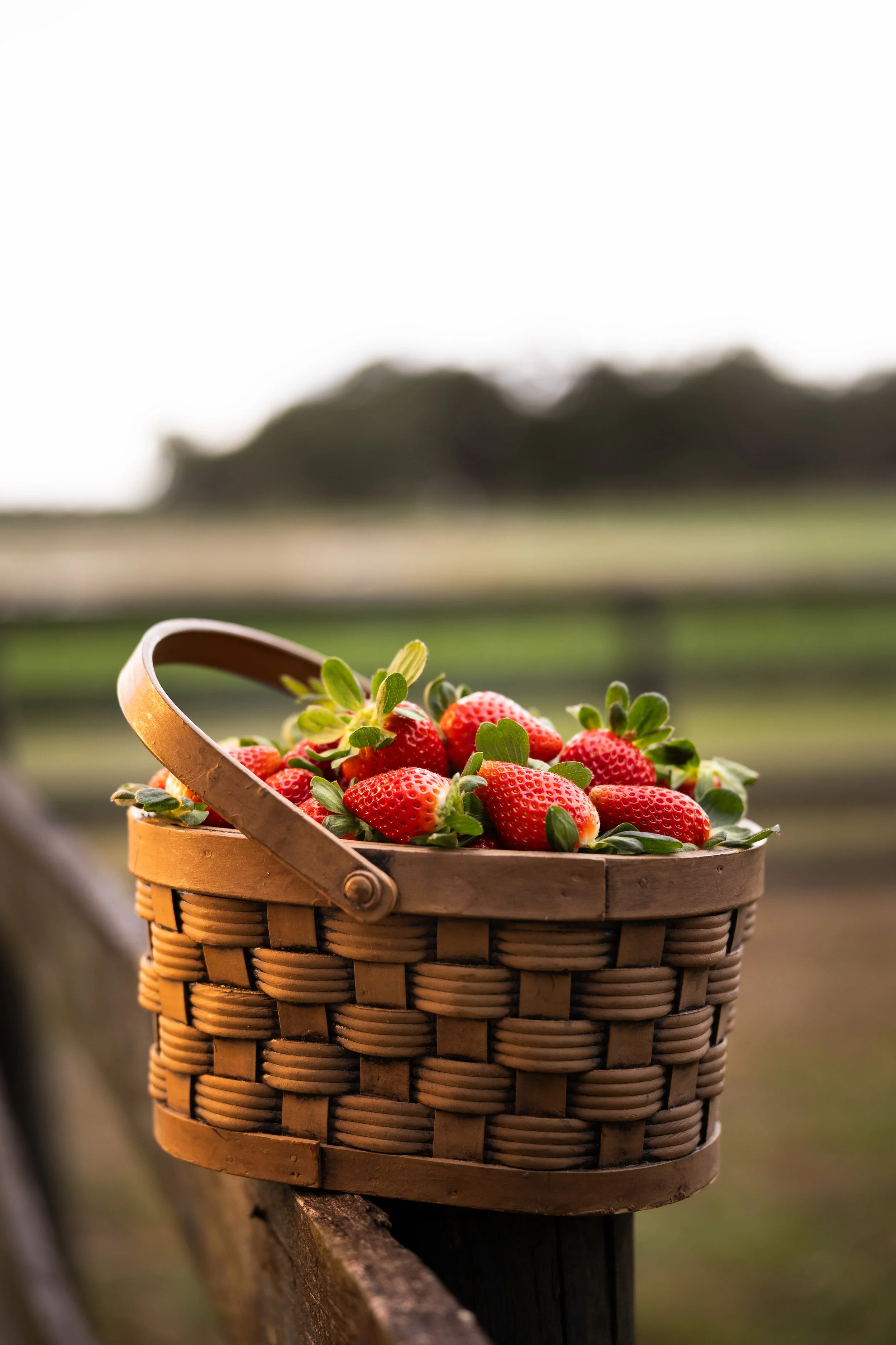 A wicker basket filled with fresh strawberries placed on a wooden railing outdoors with a blurred natural background.