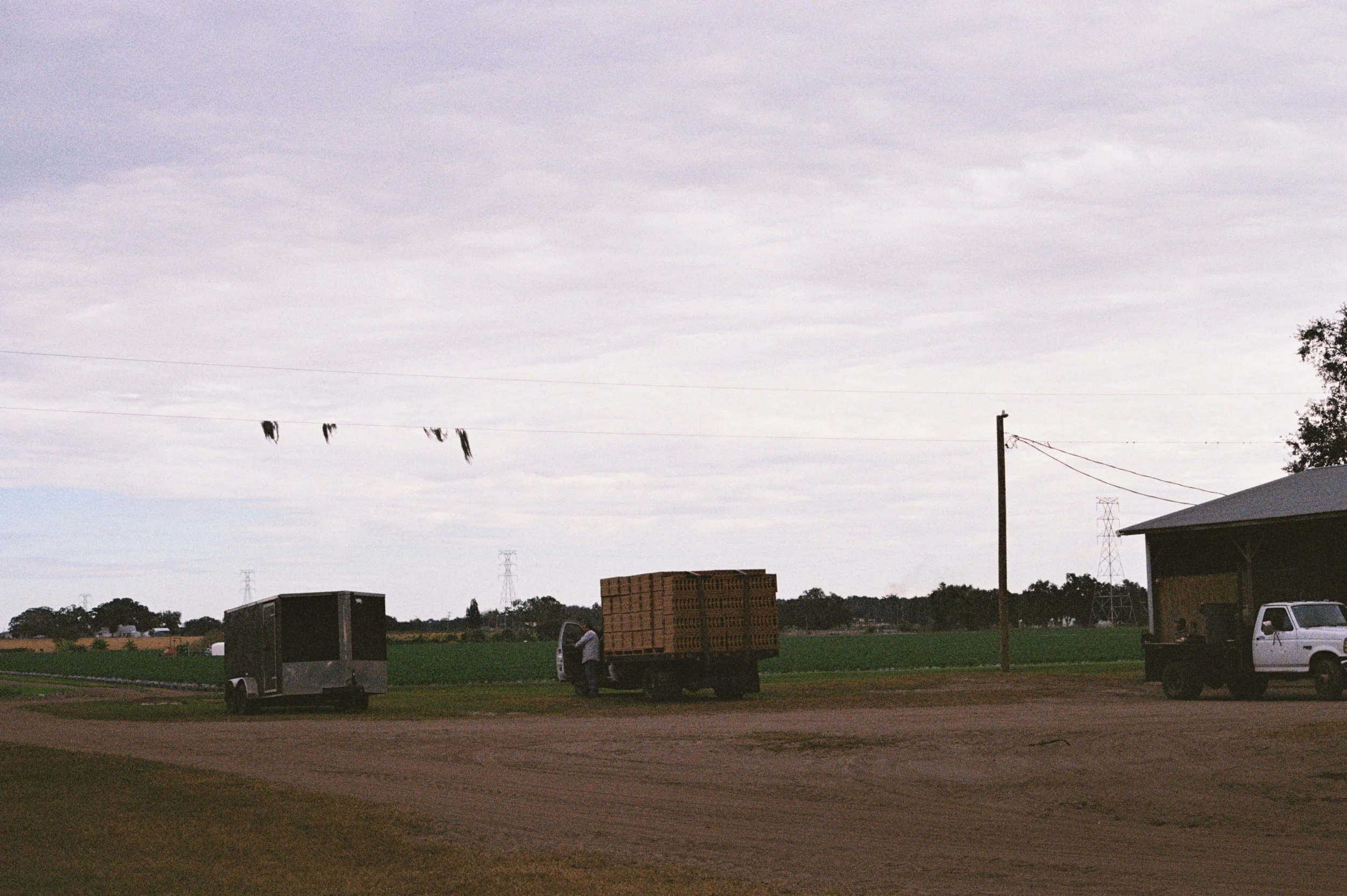 A rural scene with a dirt road, farm vehicles, and a person loading or unloading from a truck, with power lines and a cloudy sky overhead.