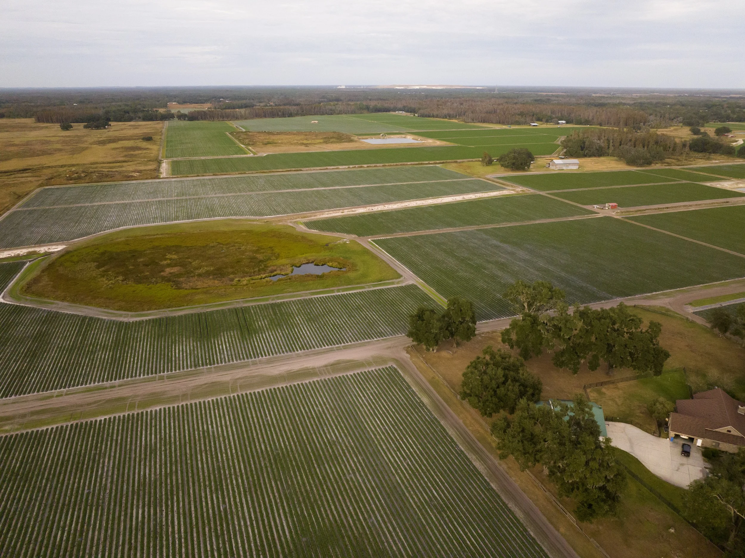 Aerial view of agricultural fields, a small pond, trees, and farm buildings in a rural area under an overcast sky.