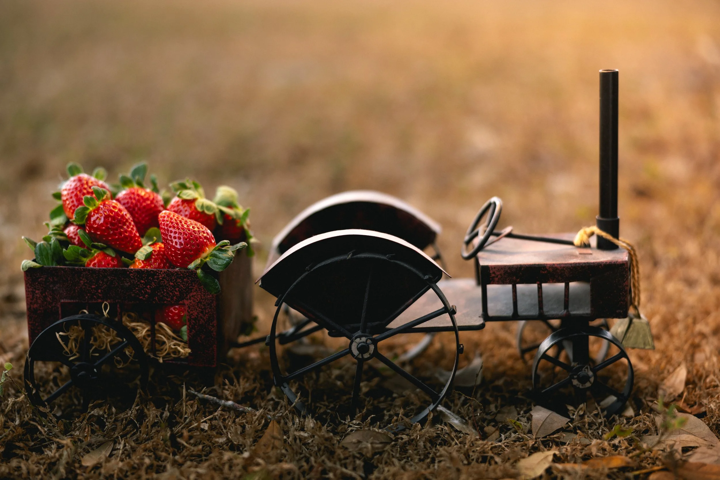 A small artisanal toy farm tractor with a trailer filled with fresh strawberries on a bed of dried leaves outdoors.