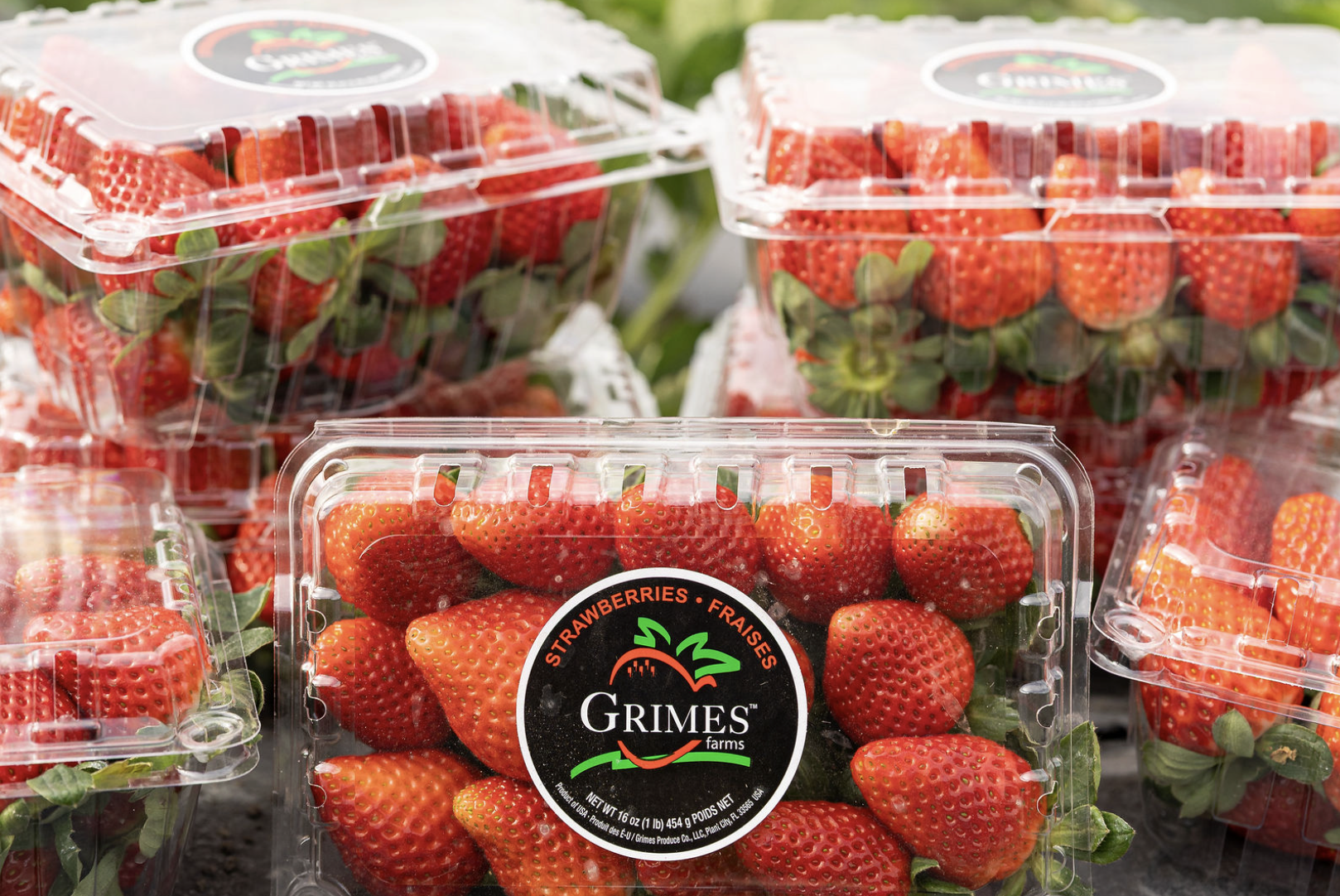 Screenshot 2025-12-09 at 11.45.23 AM.png