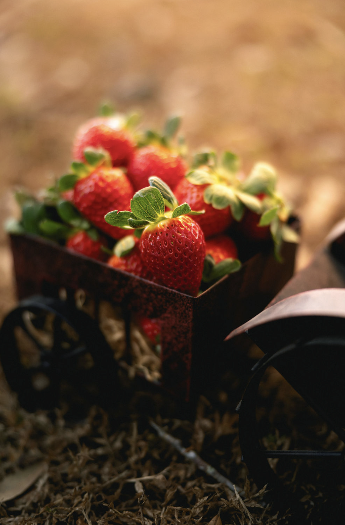 Screenshot 2025-12-09 at 3.19.26 PM.png