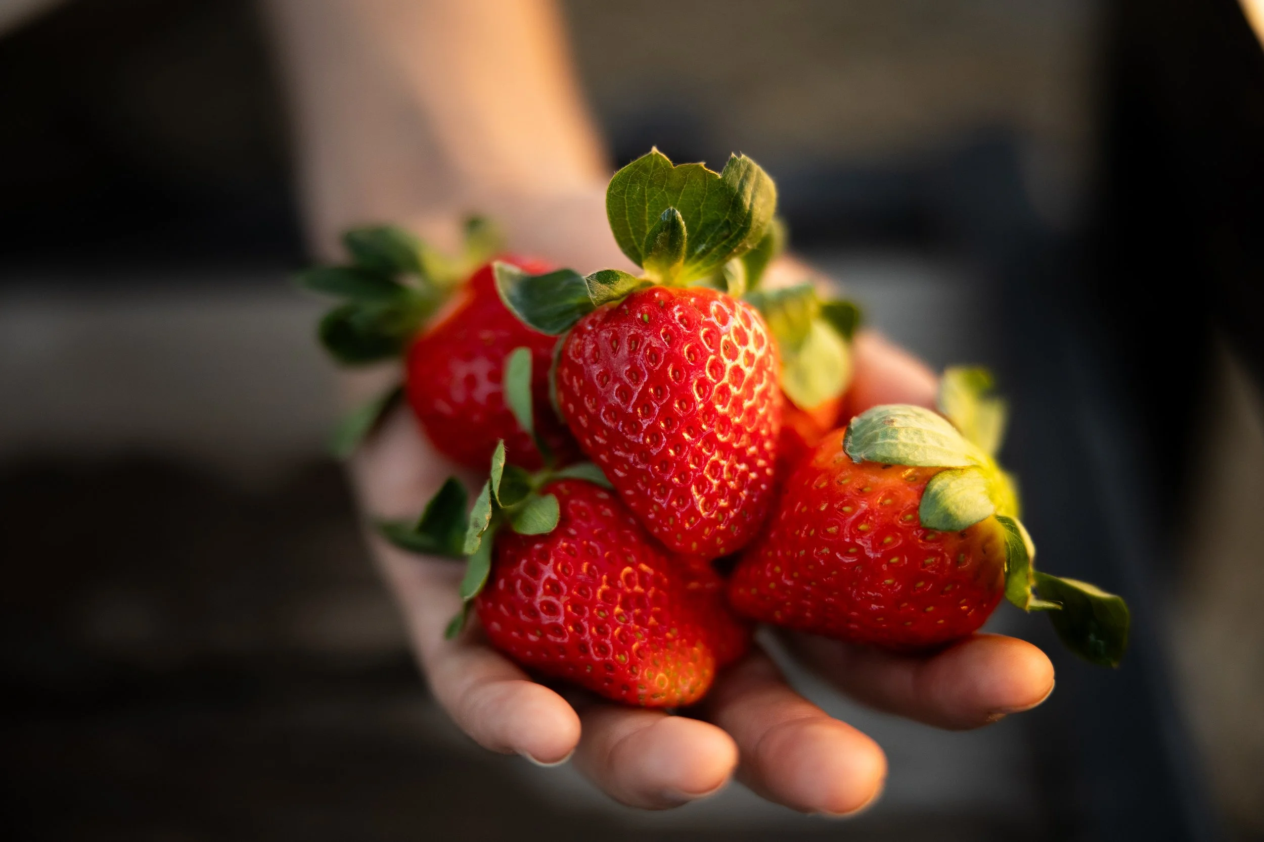 Hand holding a cluster of ripe strawberries with green leaves.