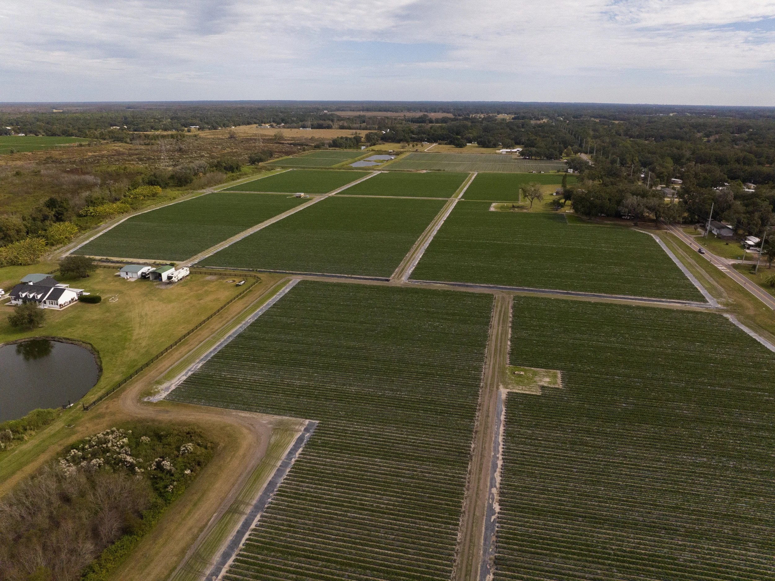 Aerial view of a rural landscape with large green agricultural fields, a pond, a house, and scattered trees, under a partly cloudy sky.