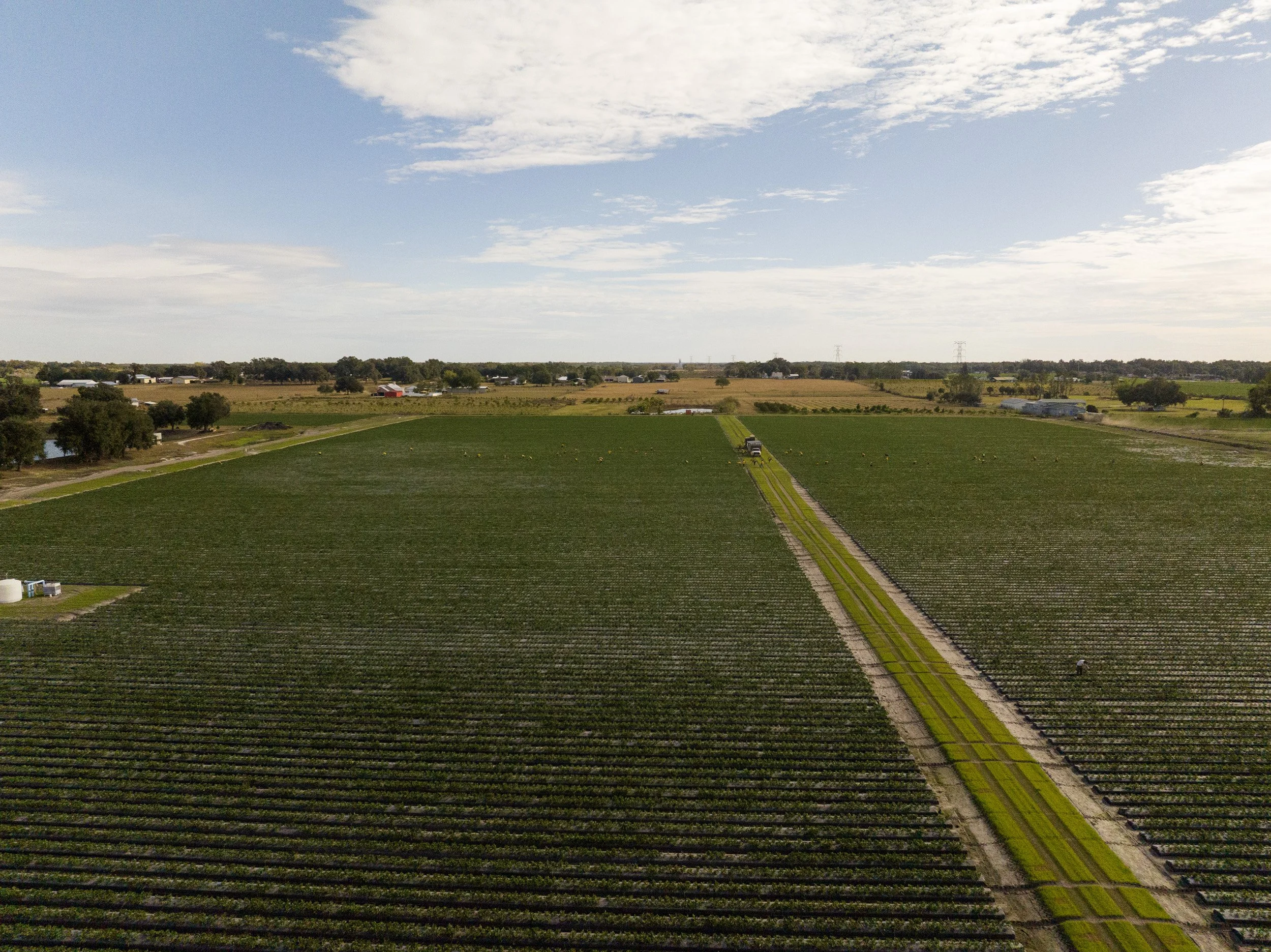 Aerial view of a large farm or agricultural field with green crops, a dirt road with a vehicle, and a blue sky with clouds.