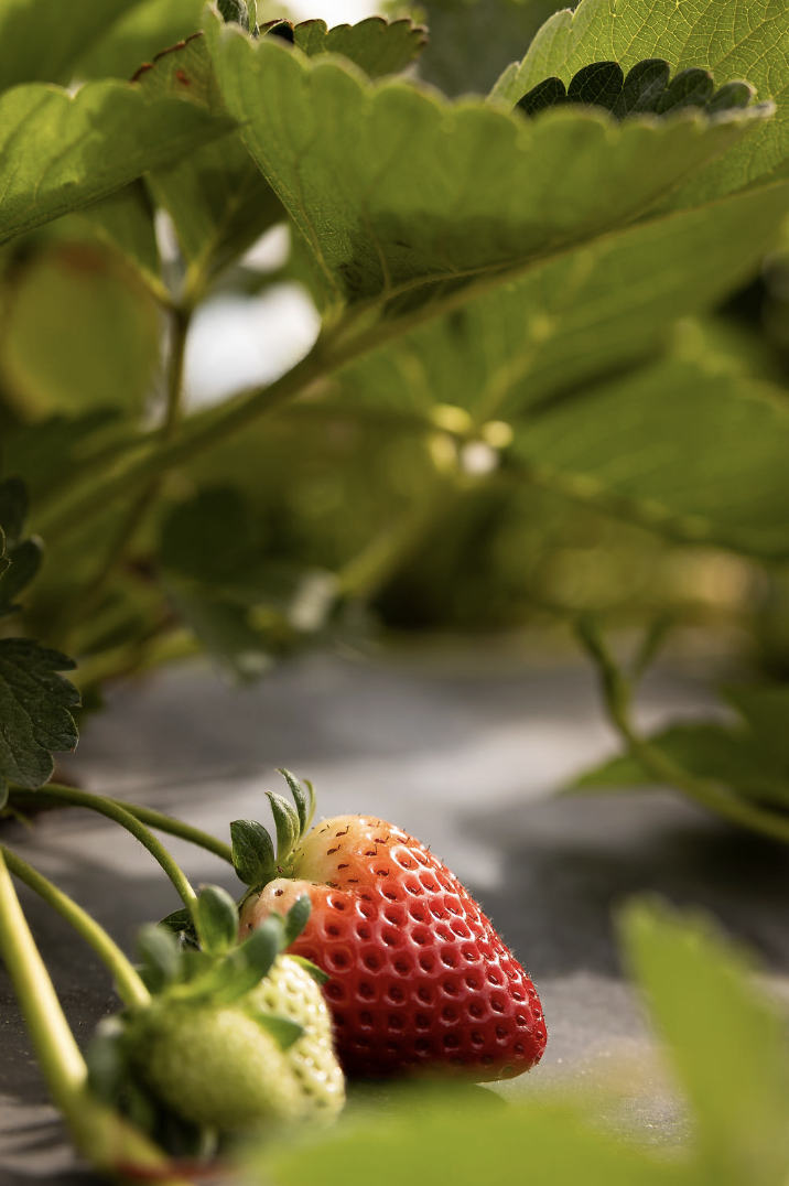 Screenshot 2025-12-09 at 2.30.58 PM.png