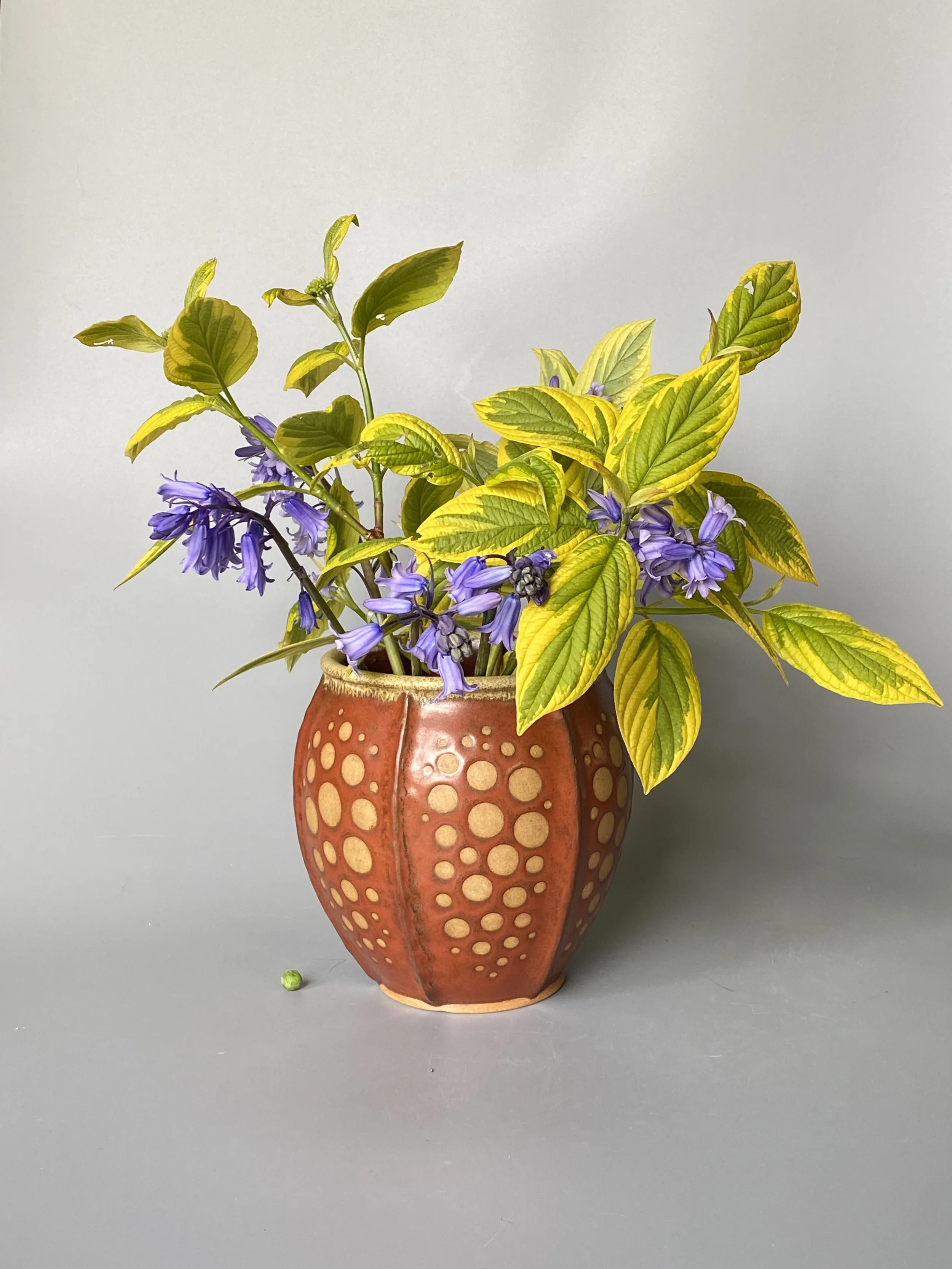 Large pod burnsihed pot.jpeg