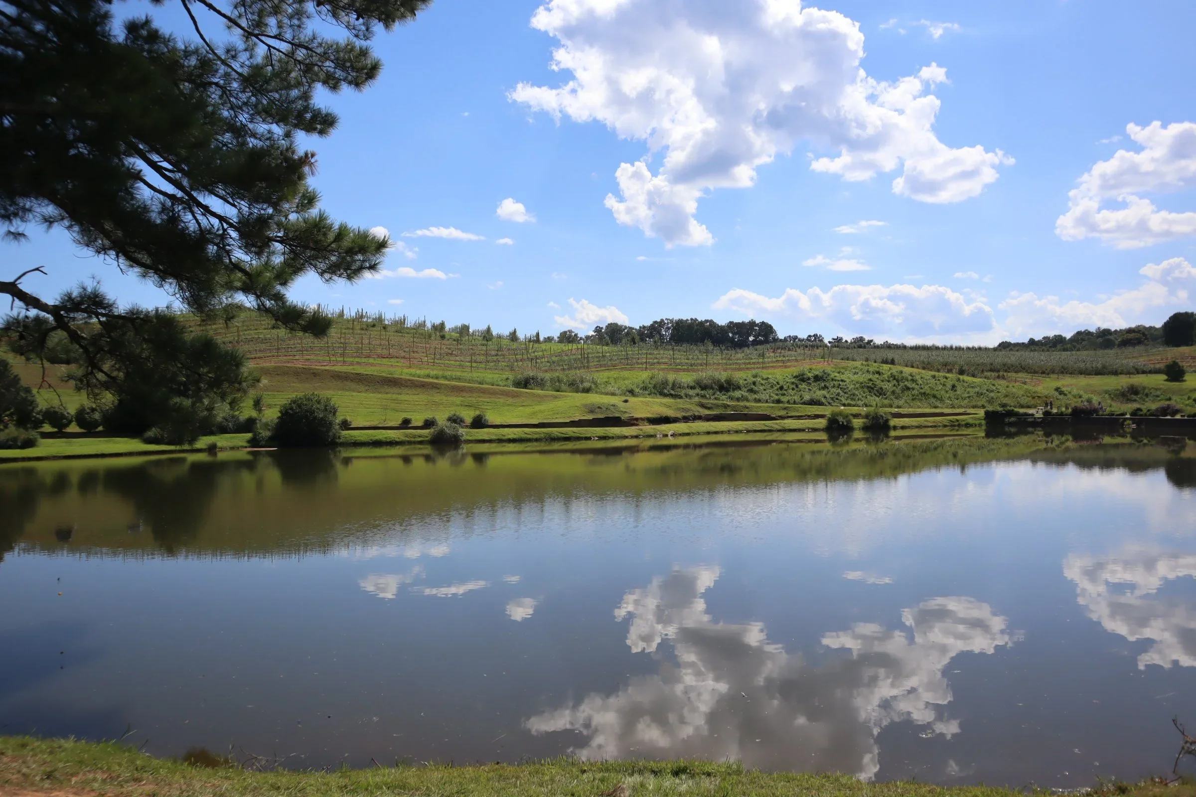 The Christian Woman’s Guide to Healthy Boundaries