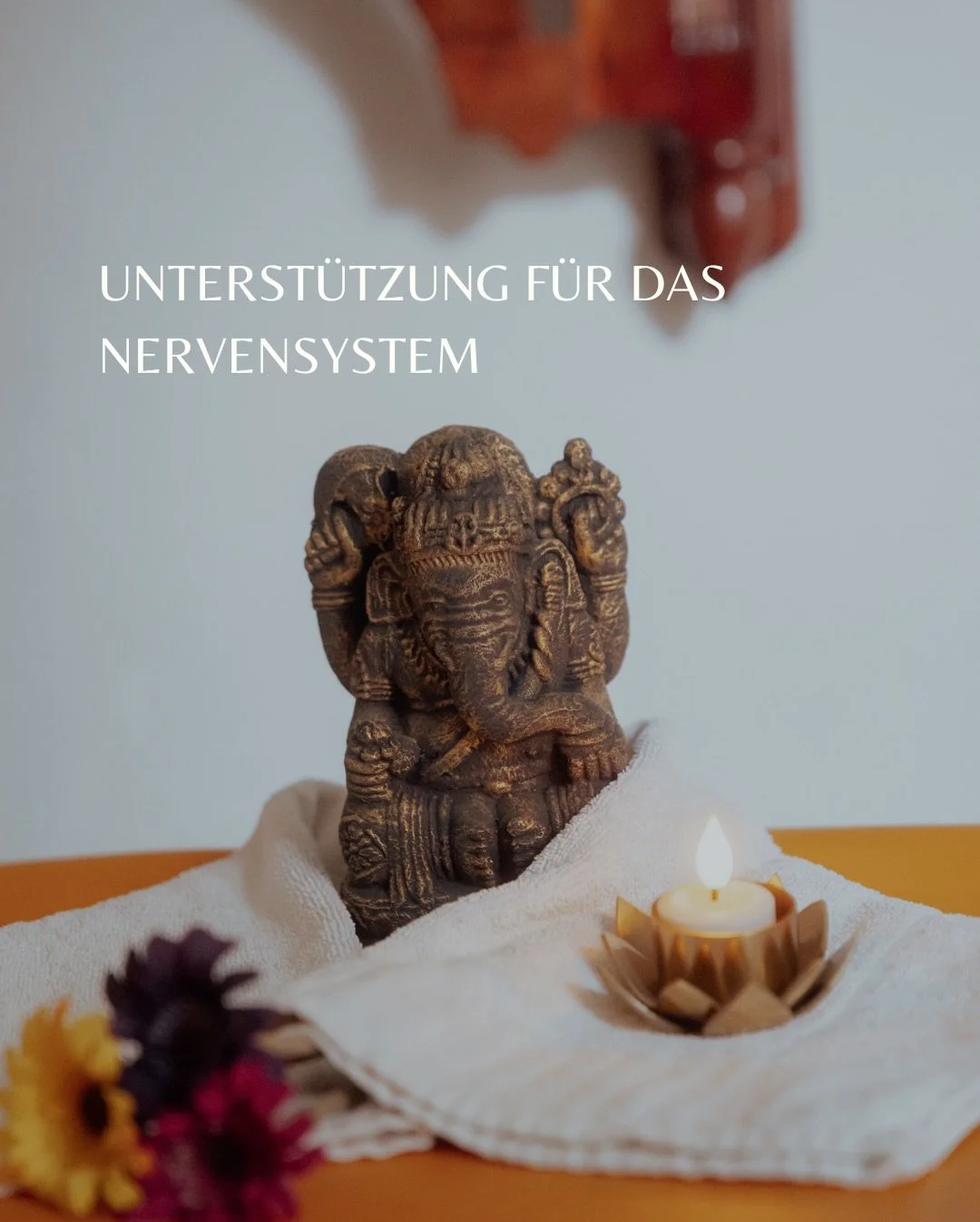 Unterst&uuml;tze dein Nervensystem mit Ayurveda: finde mehr Regulation und innere Balance. Auf meiner Website findest du die Behandlung, die zu dir passt: claudiatank.com 💫

Support your nervous system through Ayurveda: find more regulation and inne