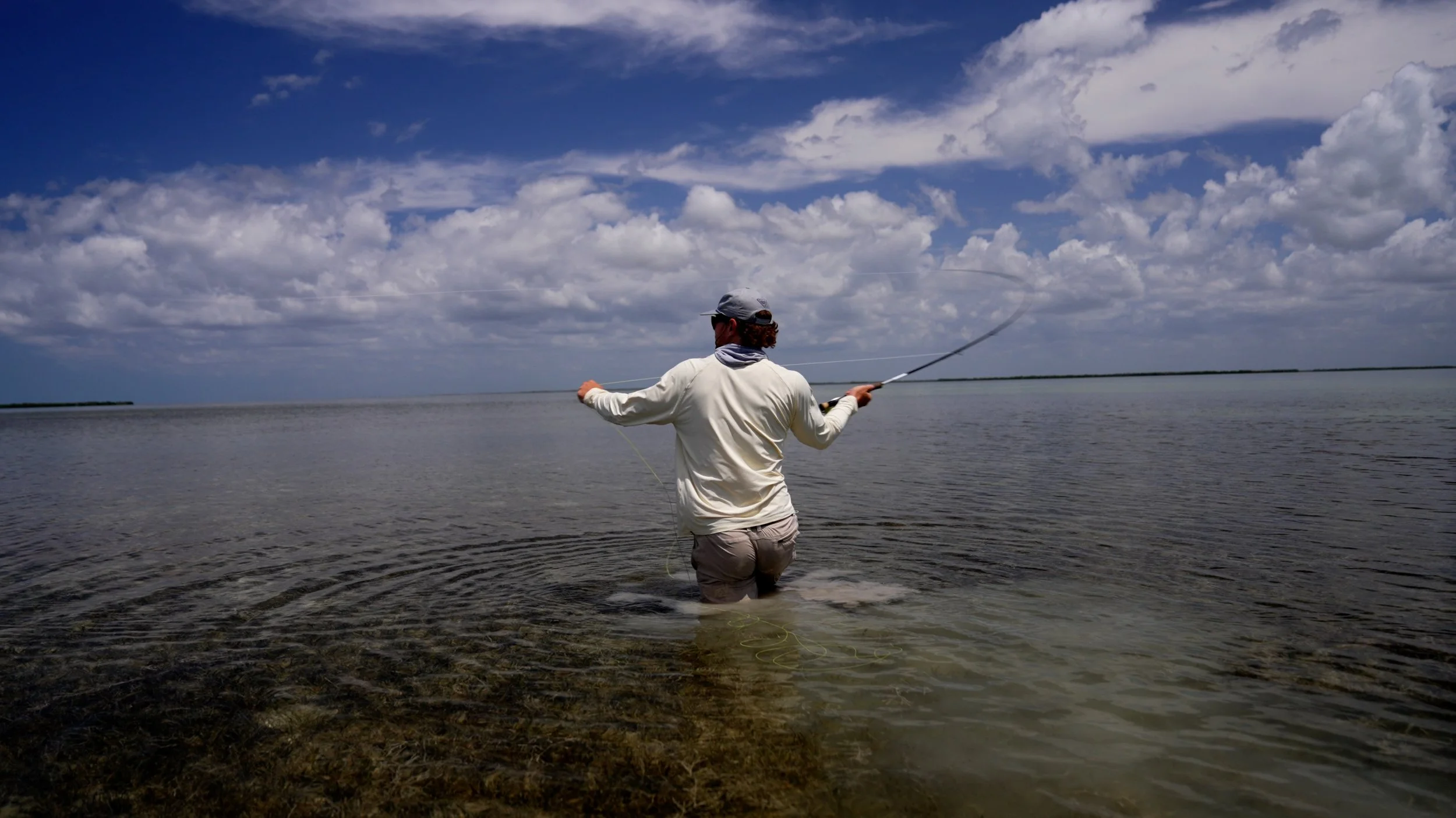 Columbia PFG (Spring)